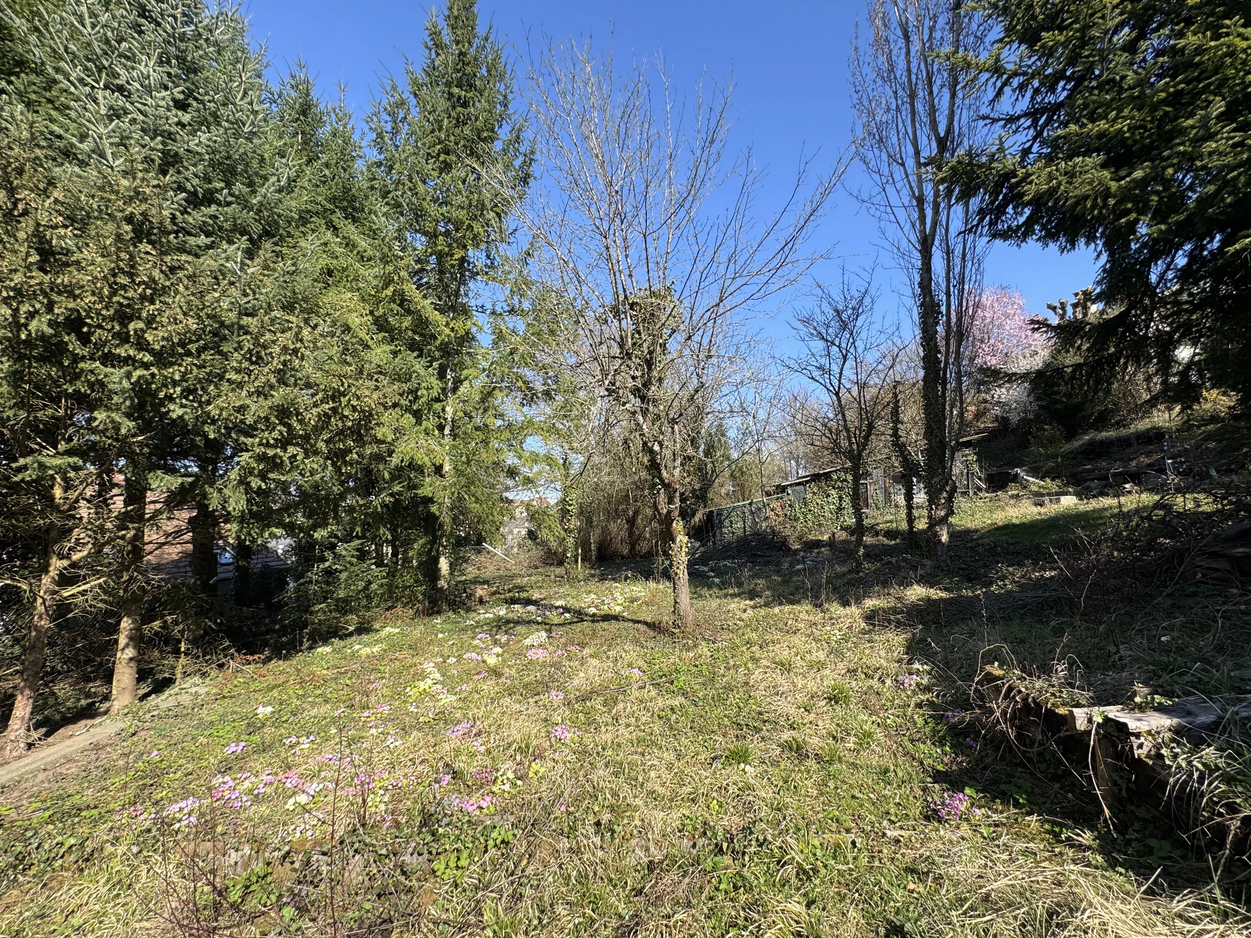 ALTKIRCH – TERRAIN À BÂTIR DE 8,56 ARES — photo 2
