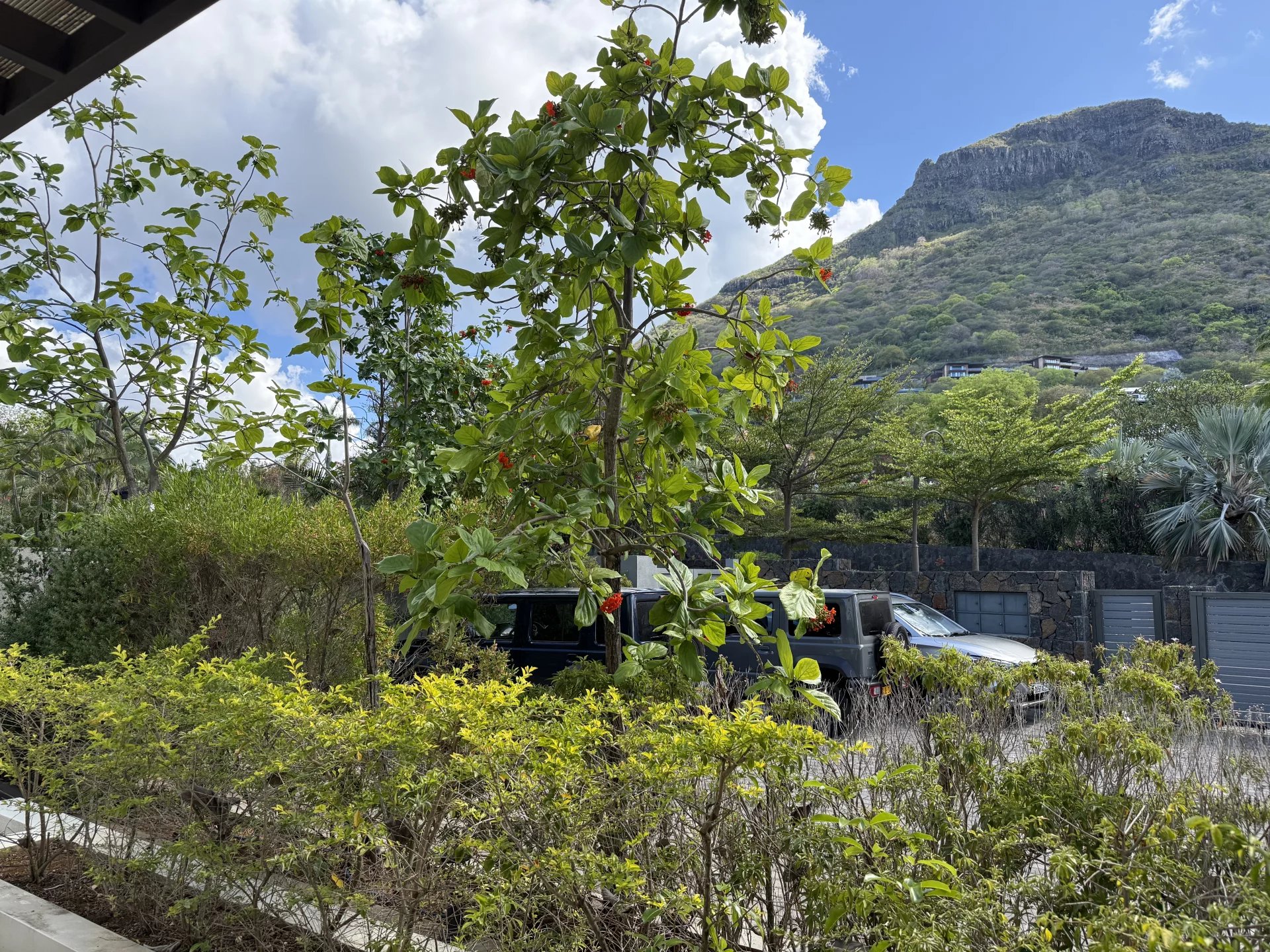 Daire Rivière Noire - picture 13