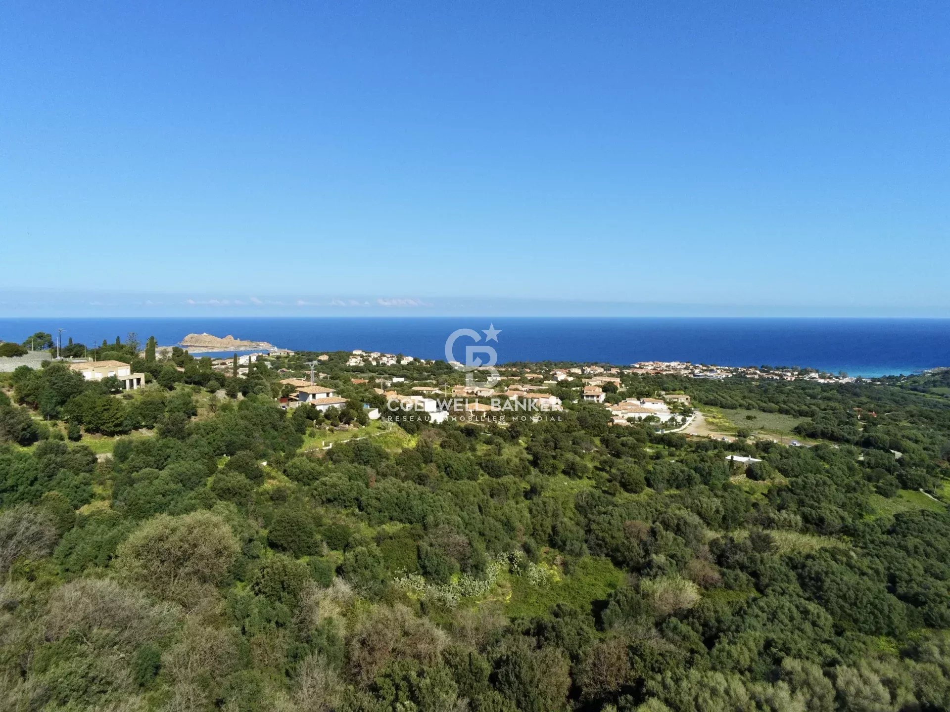 Agence immobilière de Coldwell Banker Allegrini Realty