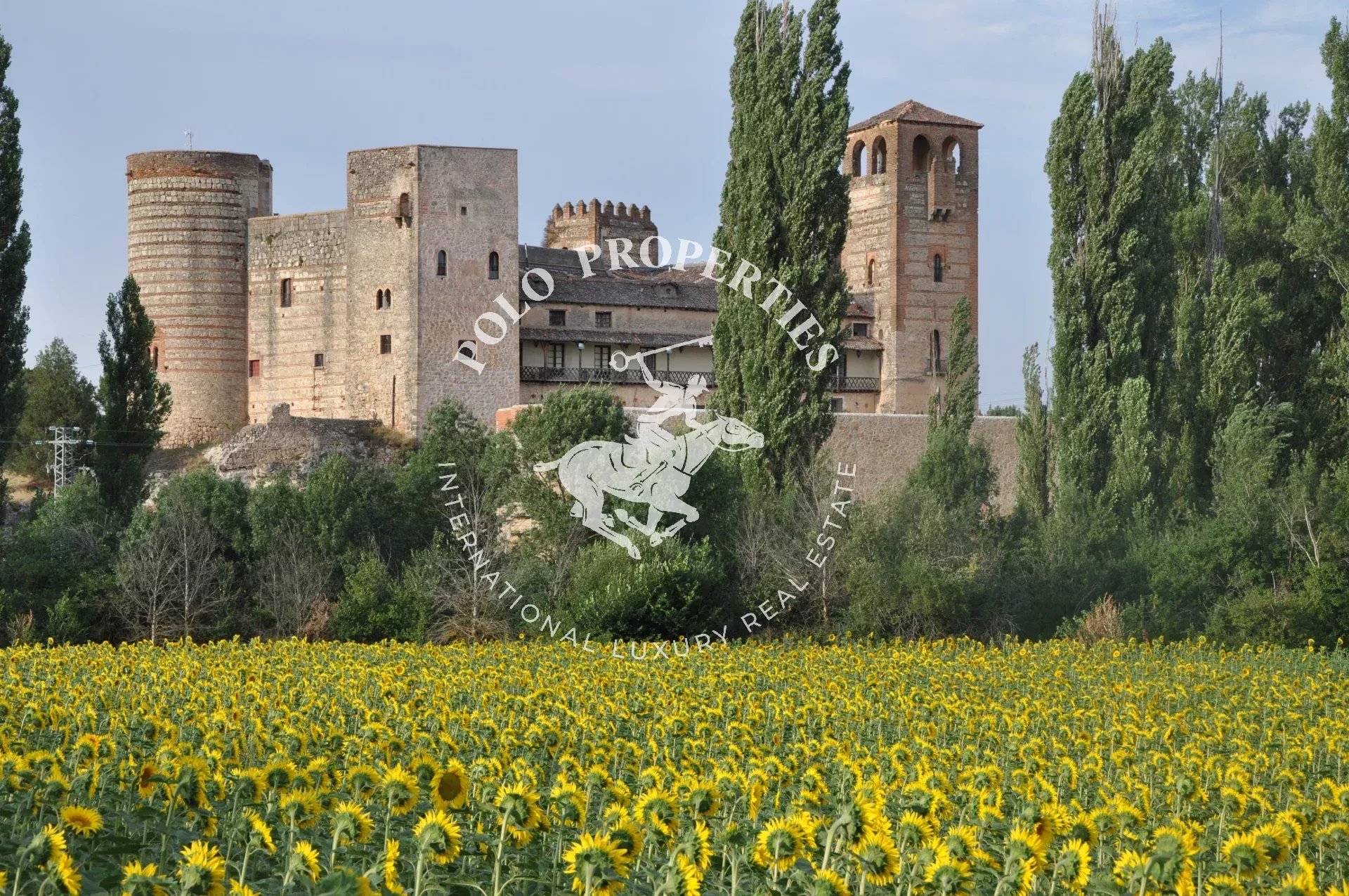 Castle for Sale in SEGOVIA- Medieval Fortress with Royal History