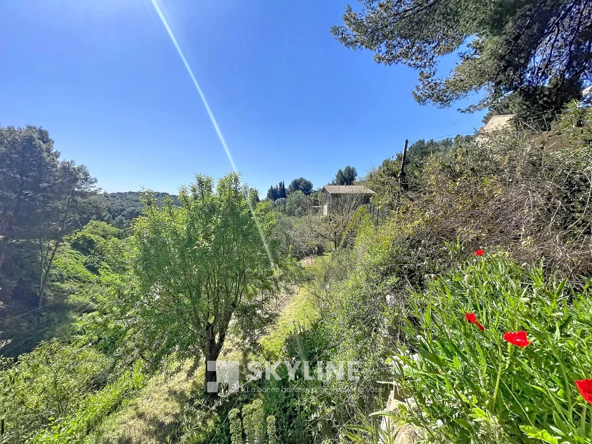 Agence immobilière de Cabinet Cogex