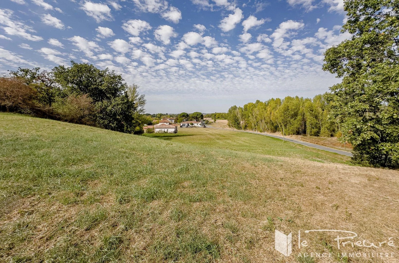 Vente Terrain Albi