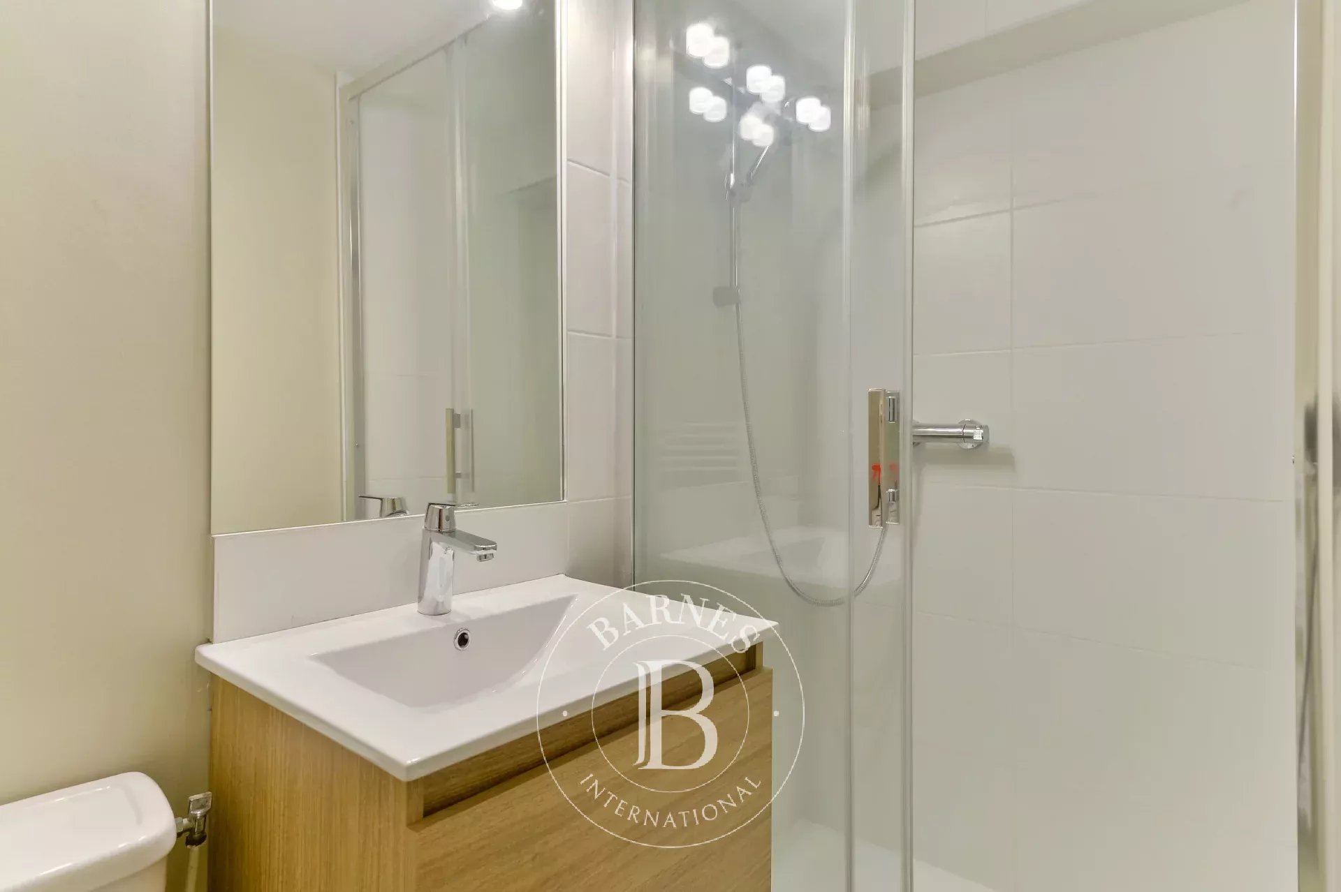 Ev Dardilly - picture 15