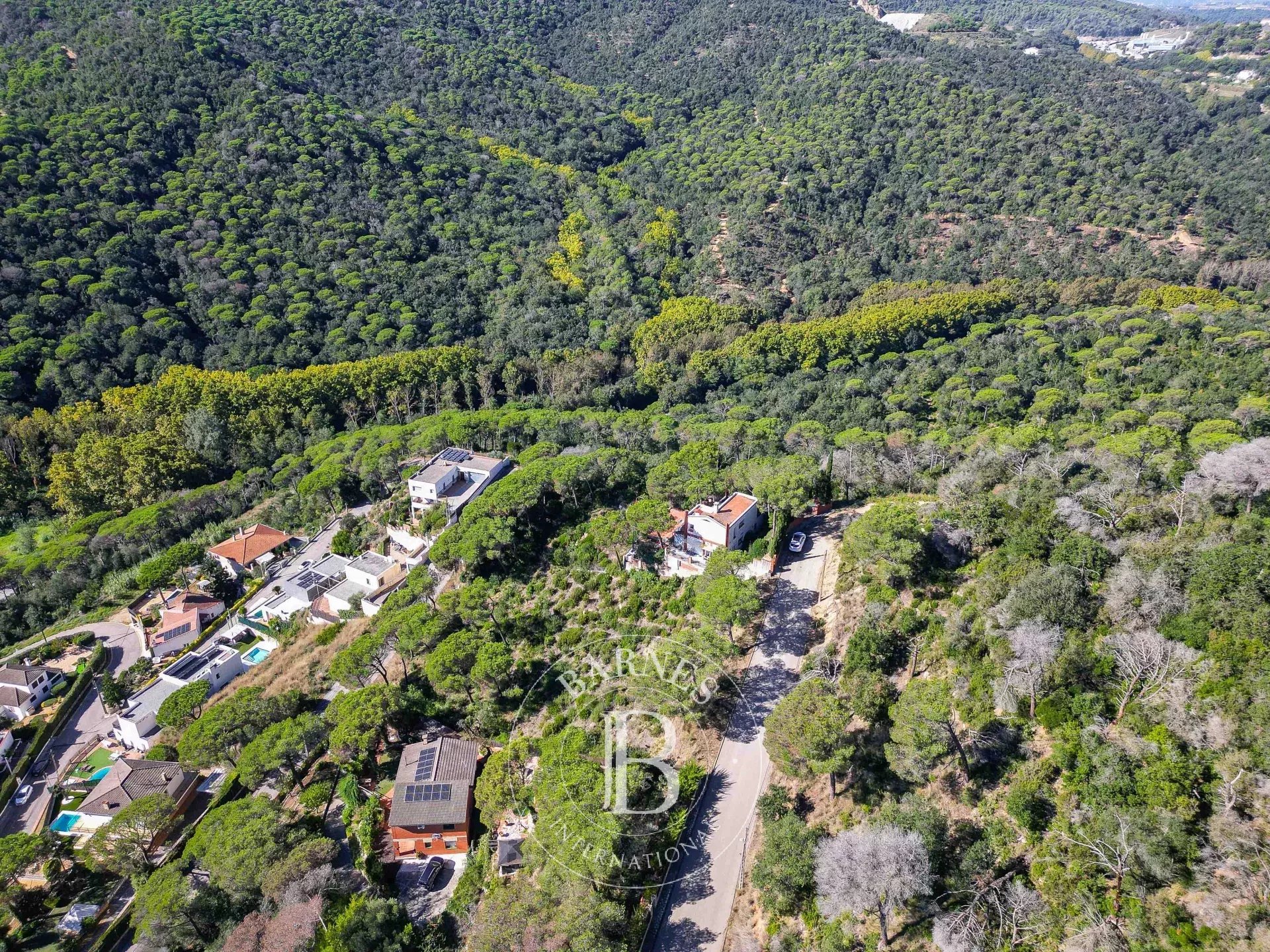 Arazi Dosríus - picture 31