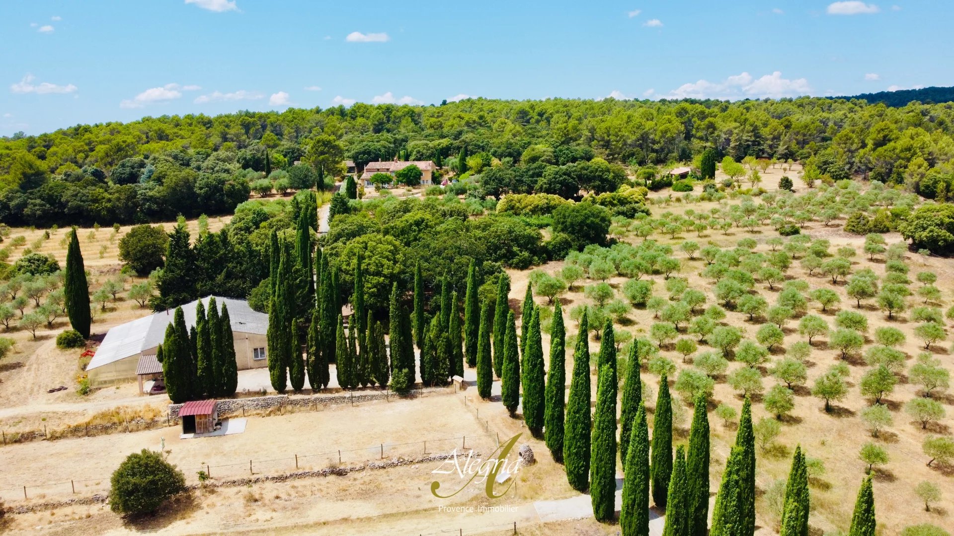 Agence immobilière de 