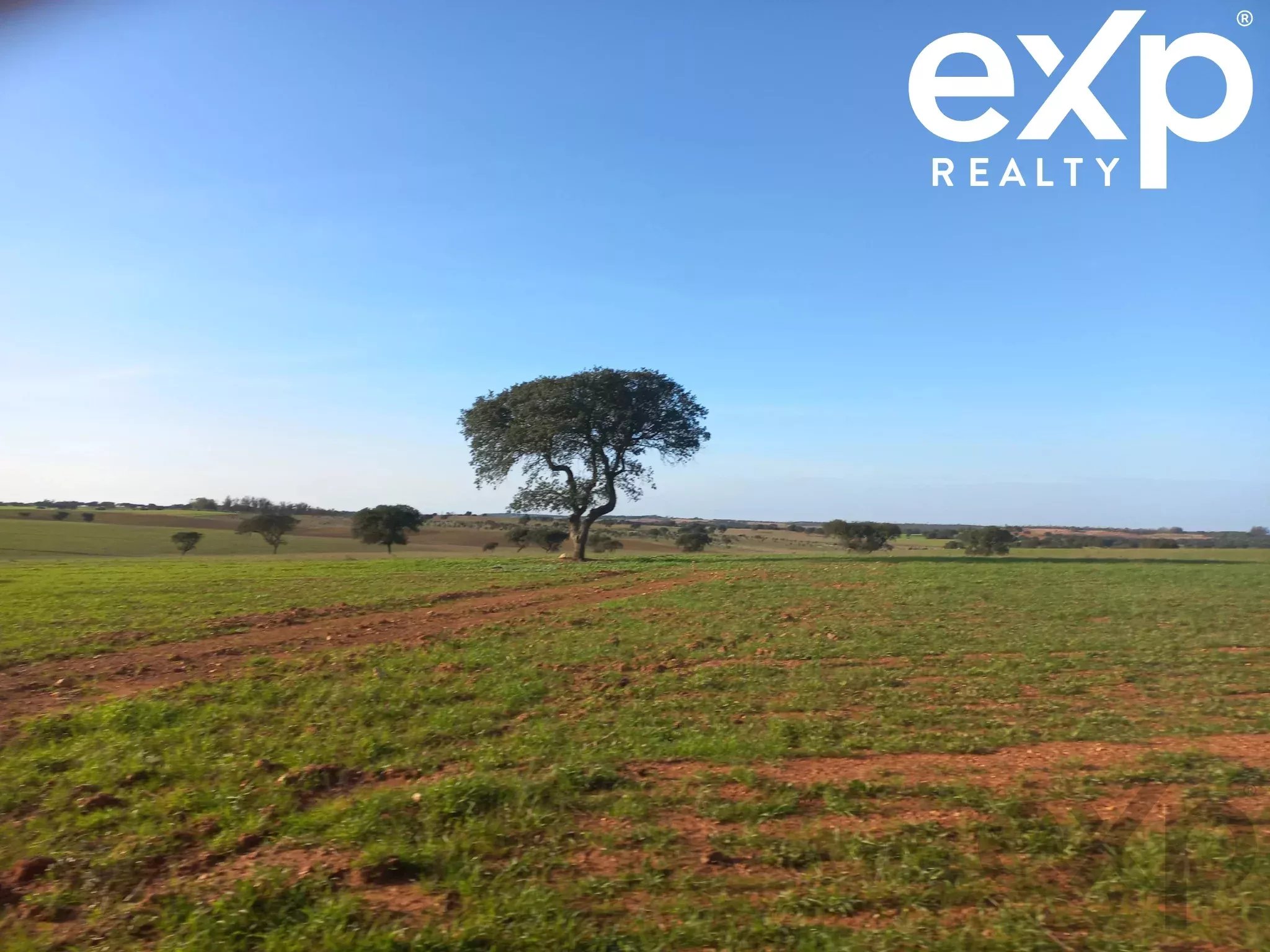 Herdade para Gado -Baixo Alentejo (Insurance for investors, funds and ICNF) 86742404 image 22