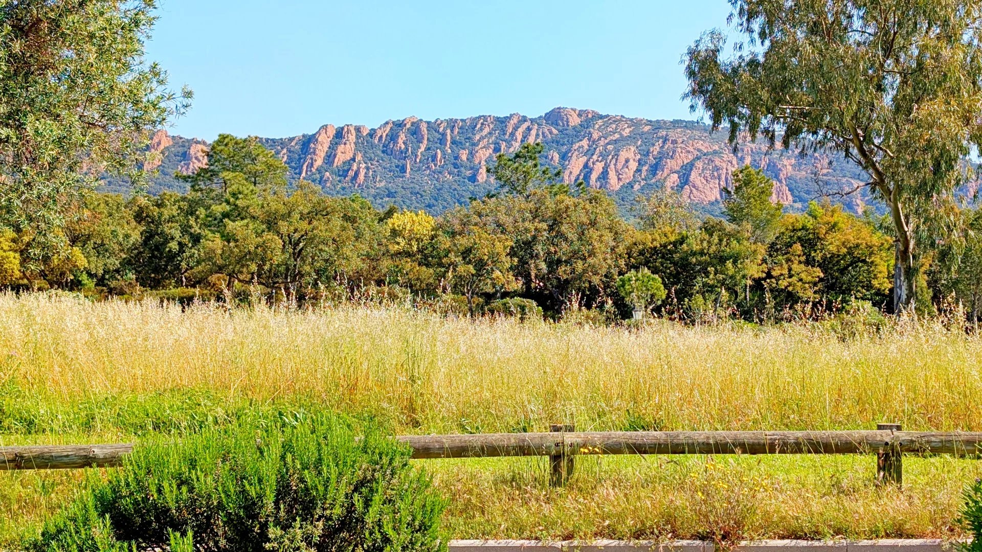 Agence immobilière de Azzurra Immobilier