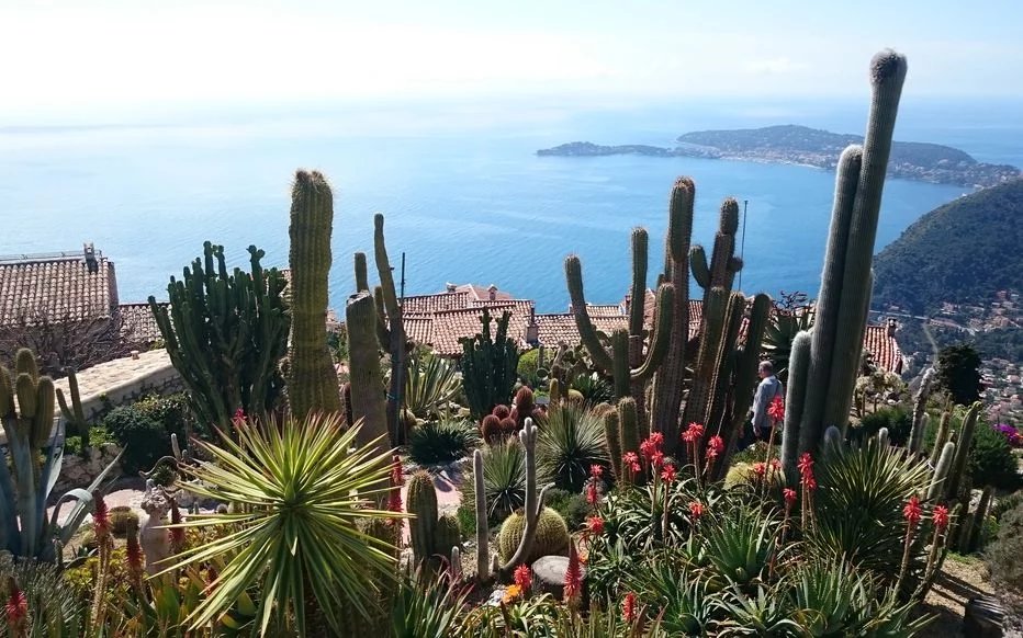 JARDIN EXOTIQUE / VILLA BELLEVUE / 2/ 3 PIECES