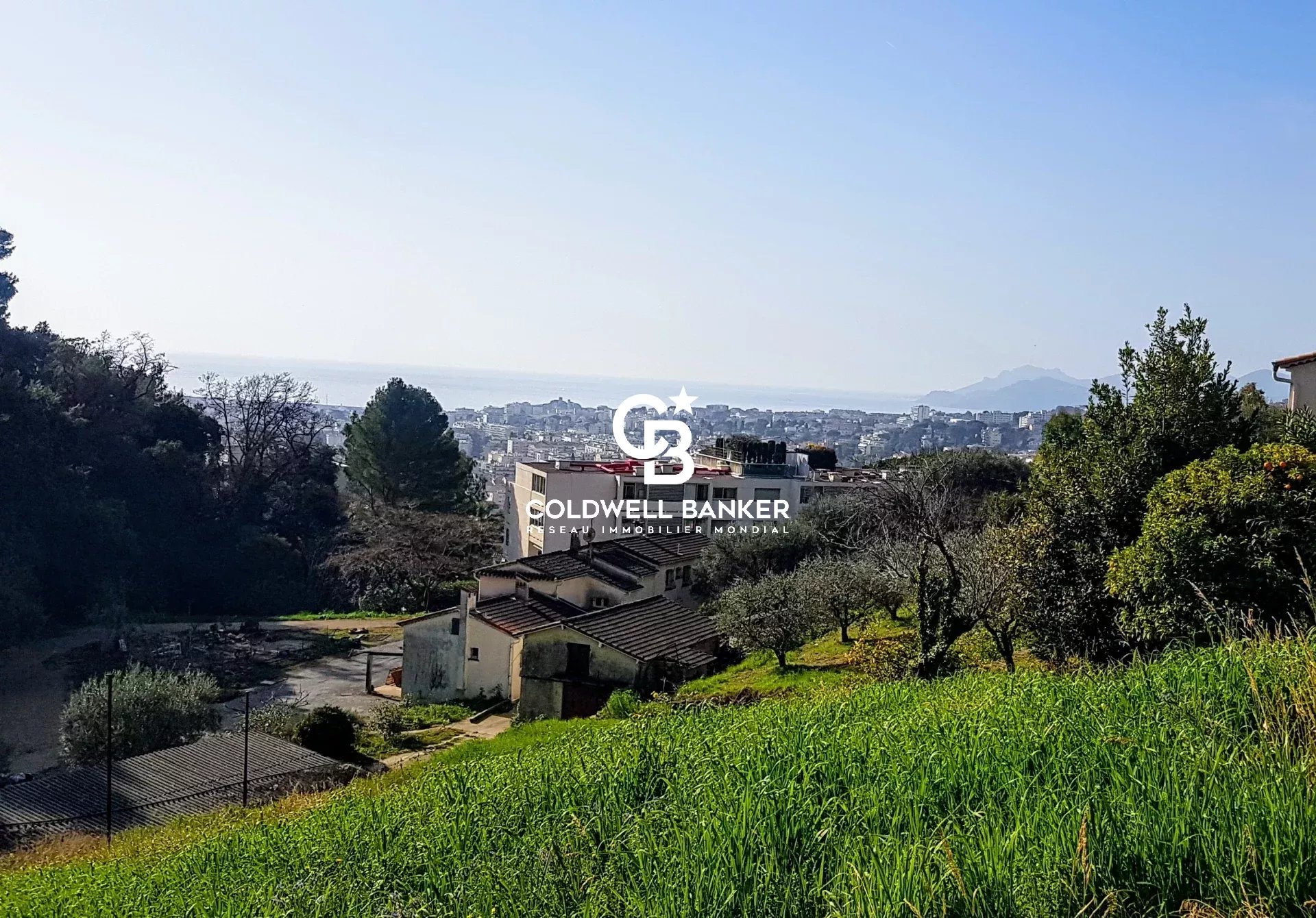1550m²