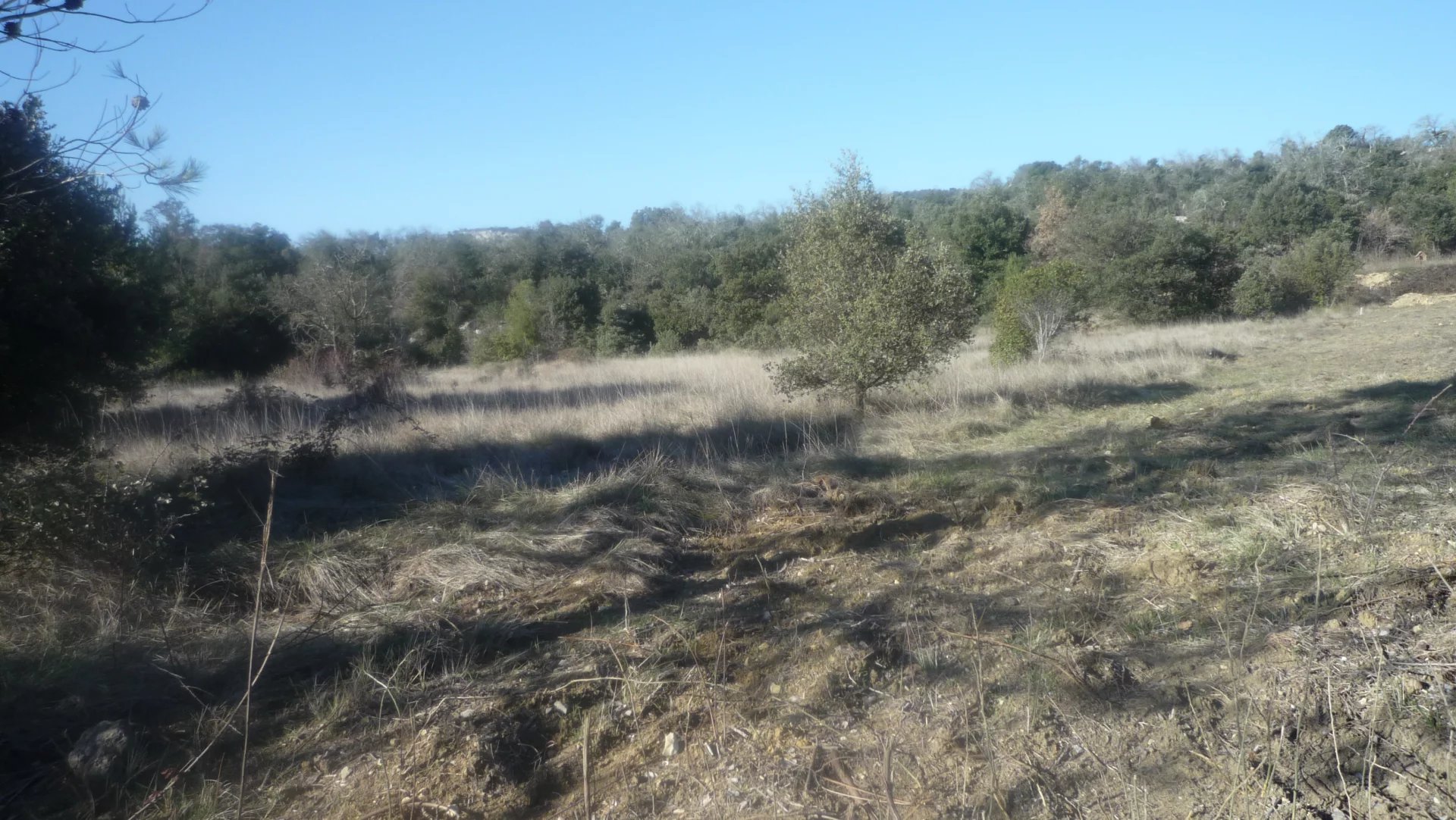 Vente Terrain Boisset-et-Gaujac