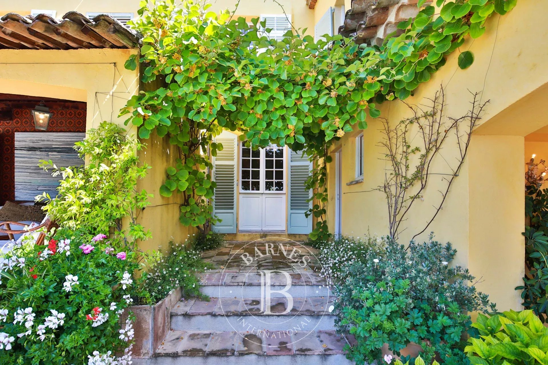 Ev Grasse - picture 7