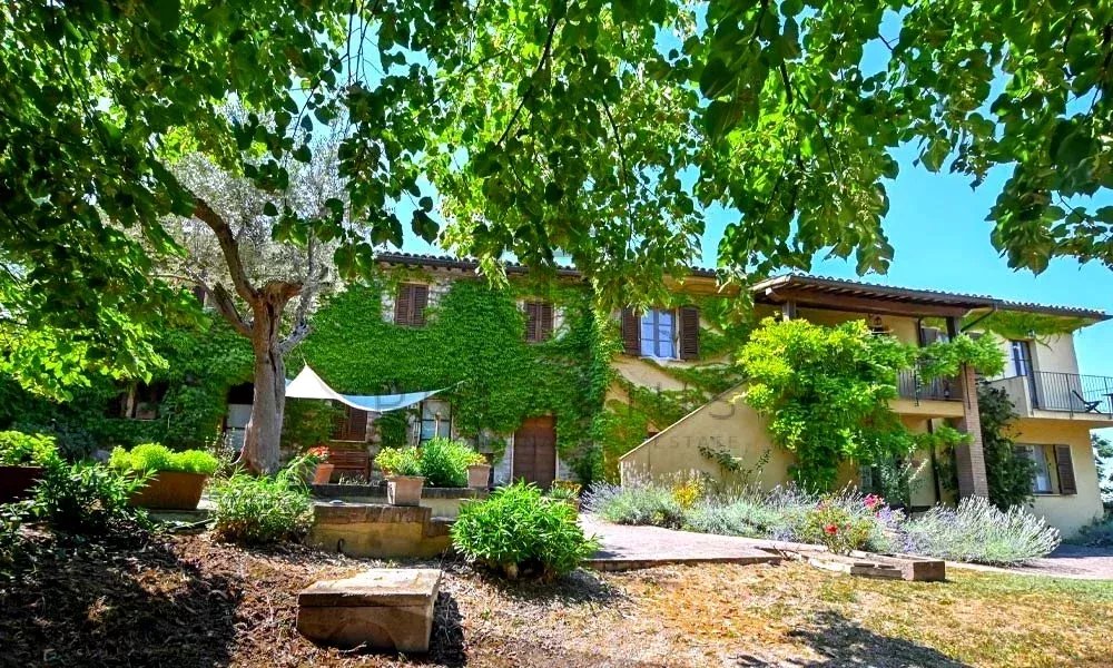 Beautiful house surrounded by lush greenery and mature trees, offering a serene garden setting.