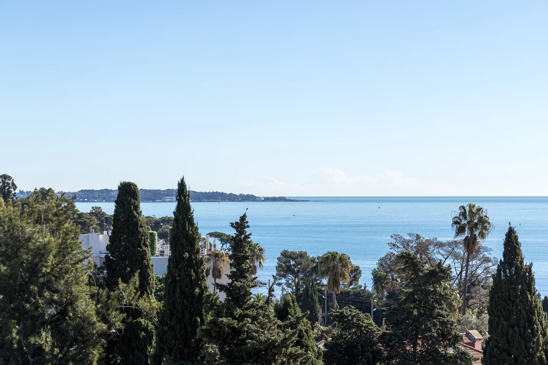 Sale Apartment Cannes Palm Beach