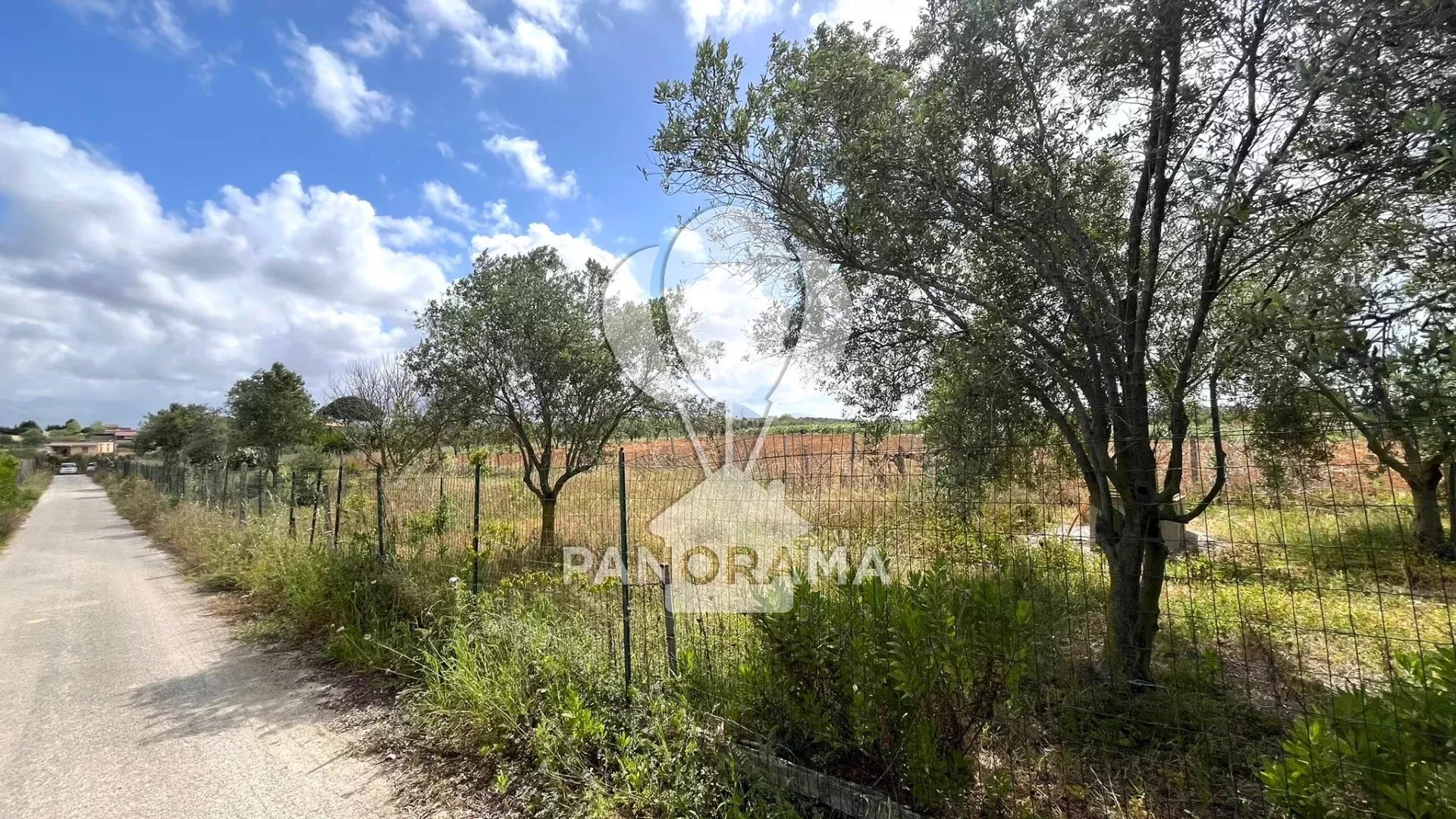 Vendita Terreno agricolo Partinico