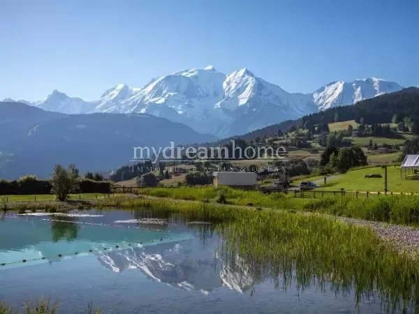 Agence immobilière de MY DREAM HOME