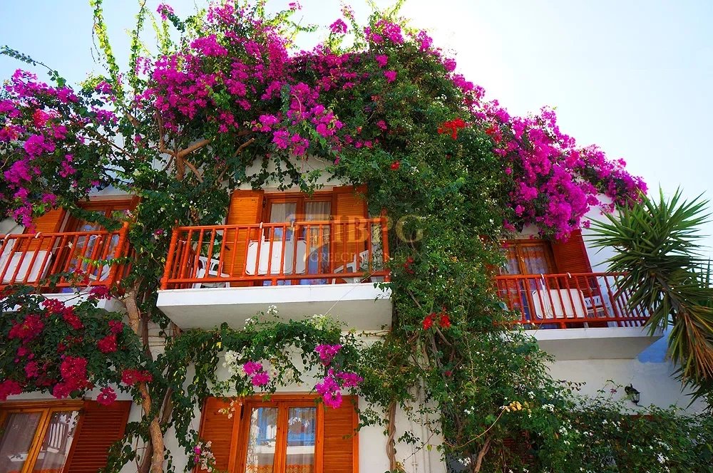 for sale House in Paros South Aegean 400m2 ,1300000€