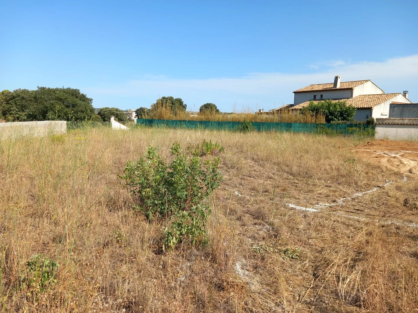 Vente Terrain Saint-André-de-Sangonis