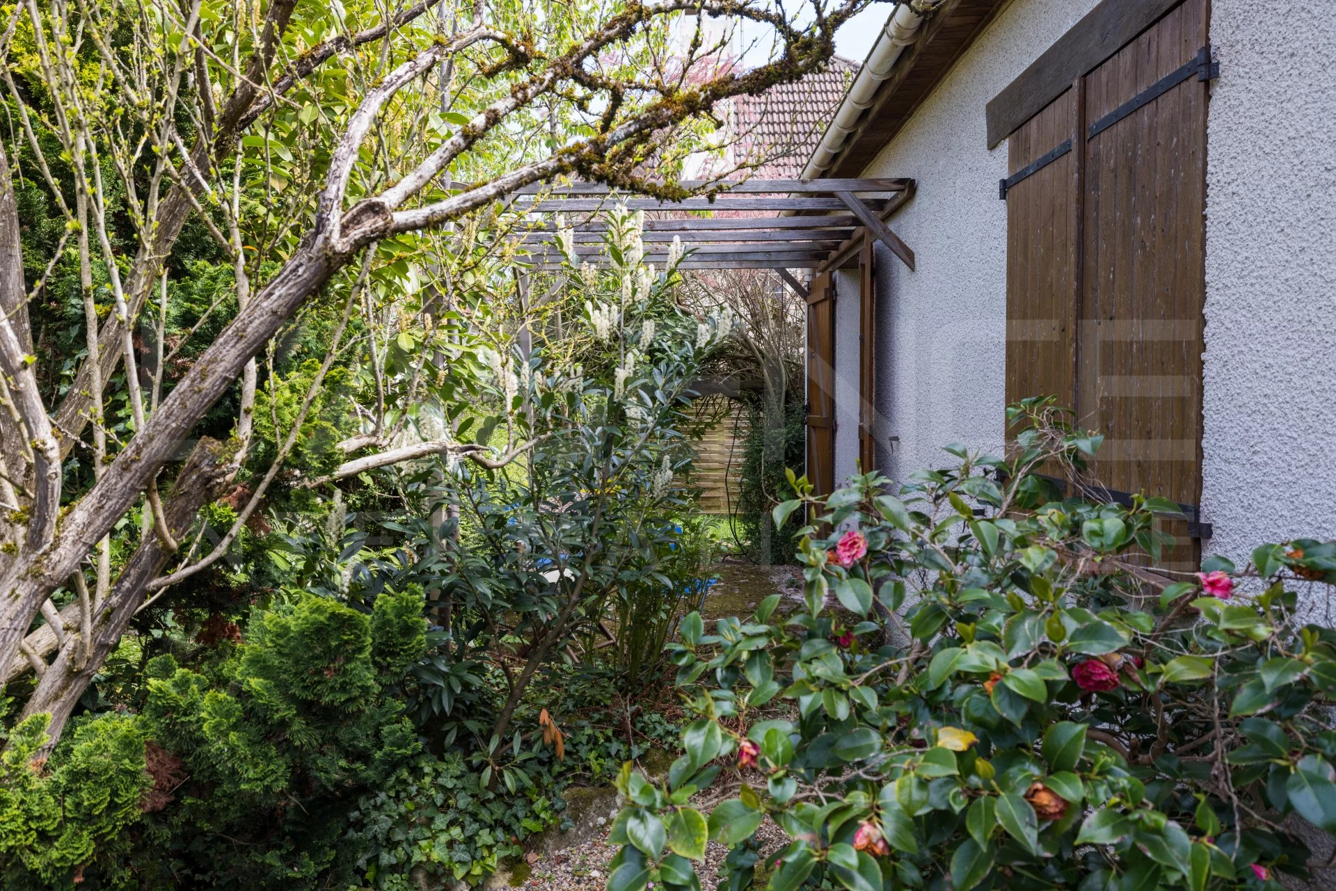 Image de la propriété 2