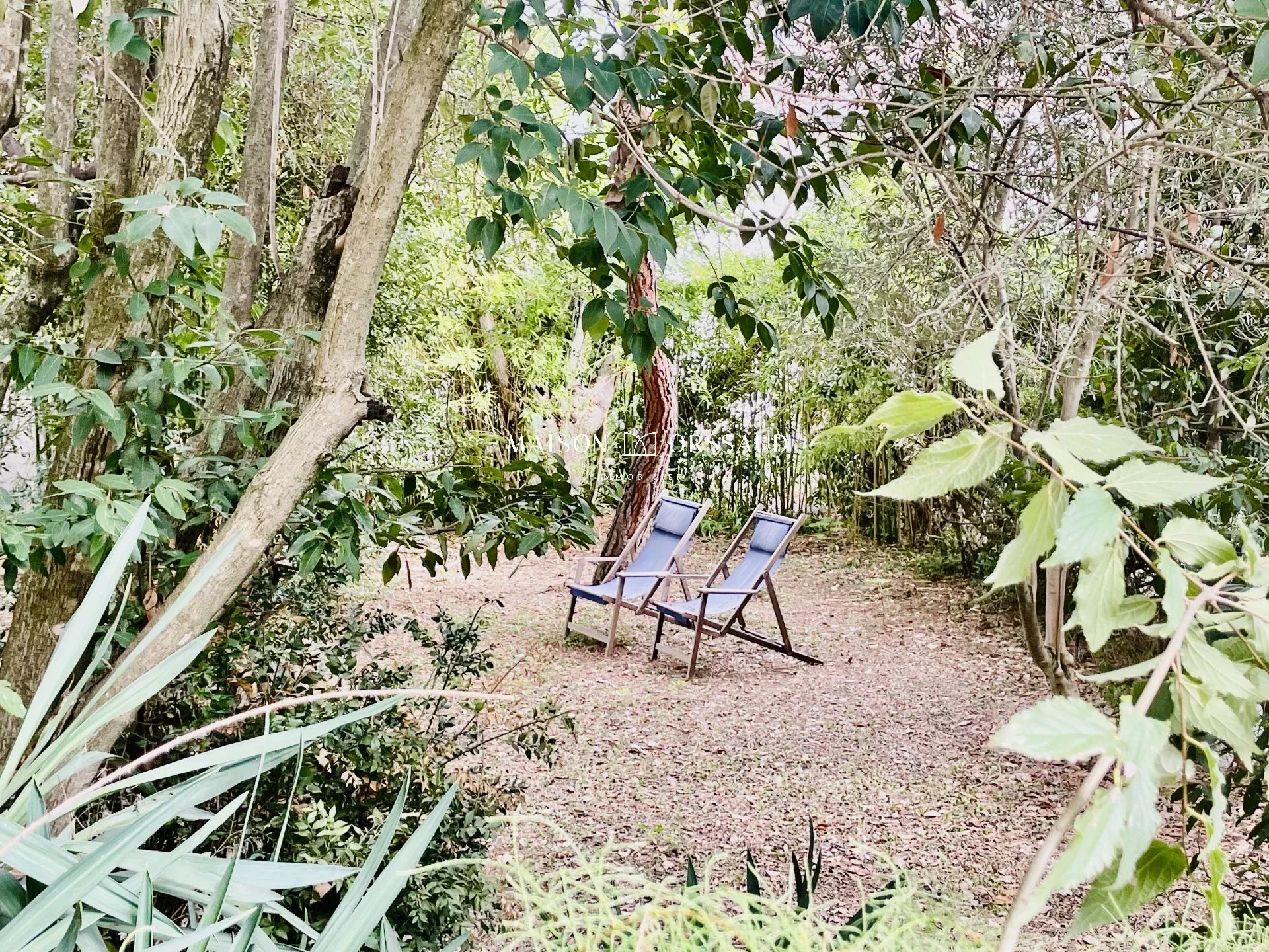 HAUS MIT HUNDERTJÄHRIGEM PARK IN RUHIGER LAGE IM ZENTRUM DES DORFES - VENDARGUES