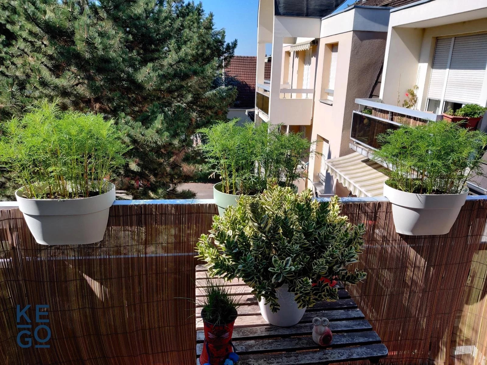 Location Appartement Bischheim
