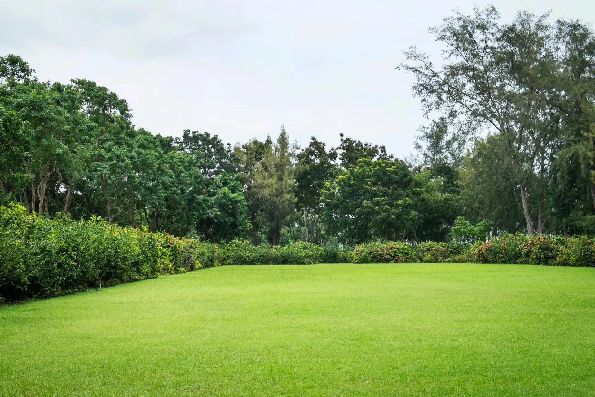 RETOUR DE LOT--RER A --BEL APPARTEMENT FAMILIAL AVEC GRAND JARDIN