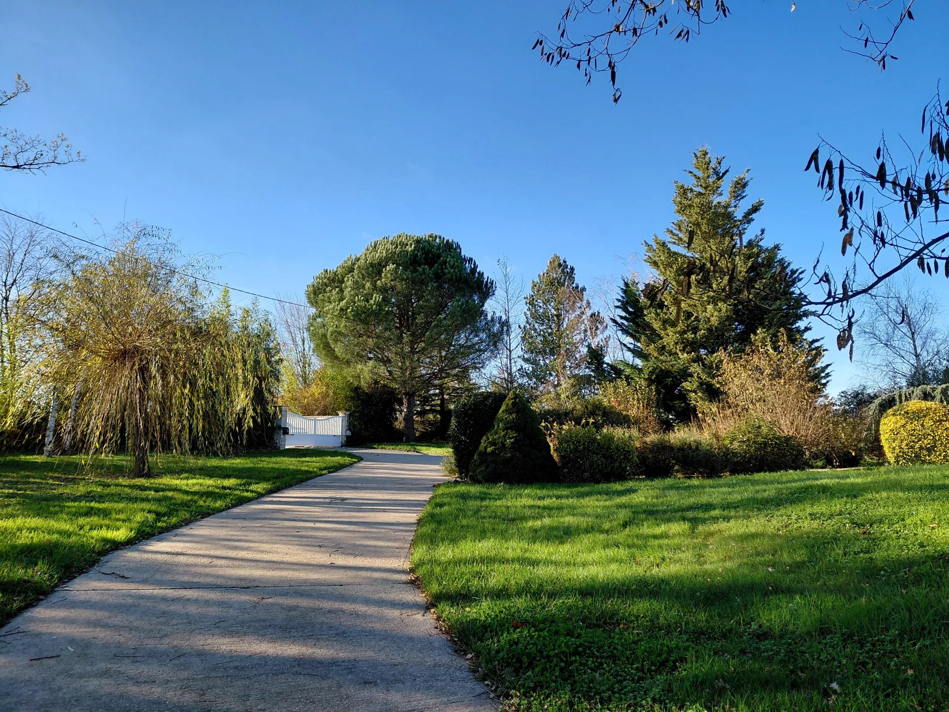 House in Mirandol-Bourgnounac - Image 2