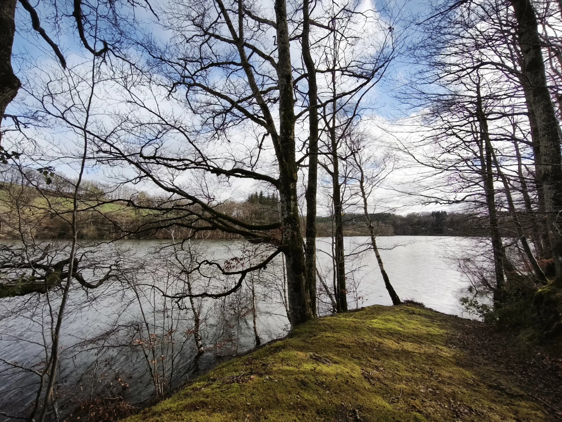 Agence immobilière de CAUMES DAVID