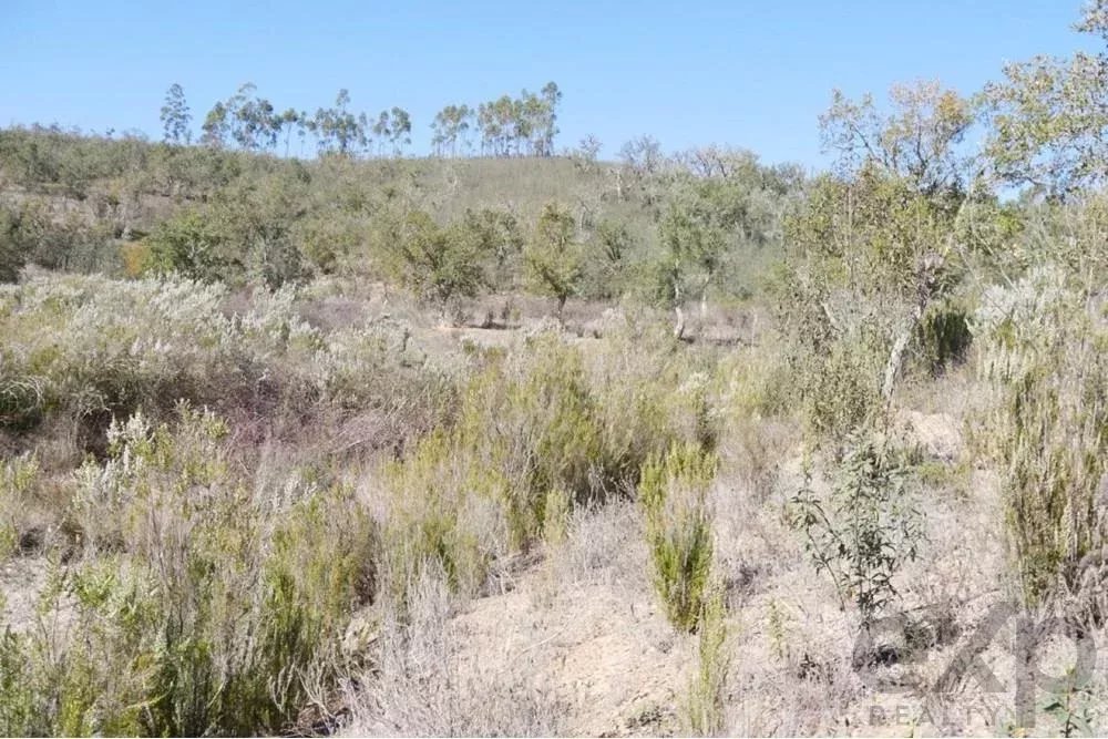 Exceptional 65-Hectare Estate in Alentejo with Tourism Development Potential 85506160 image 29