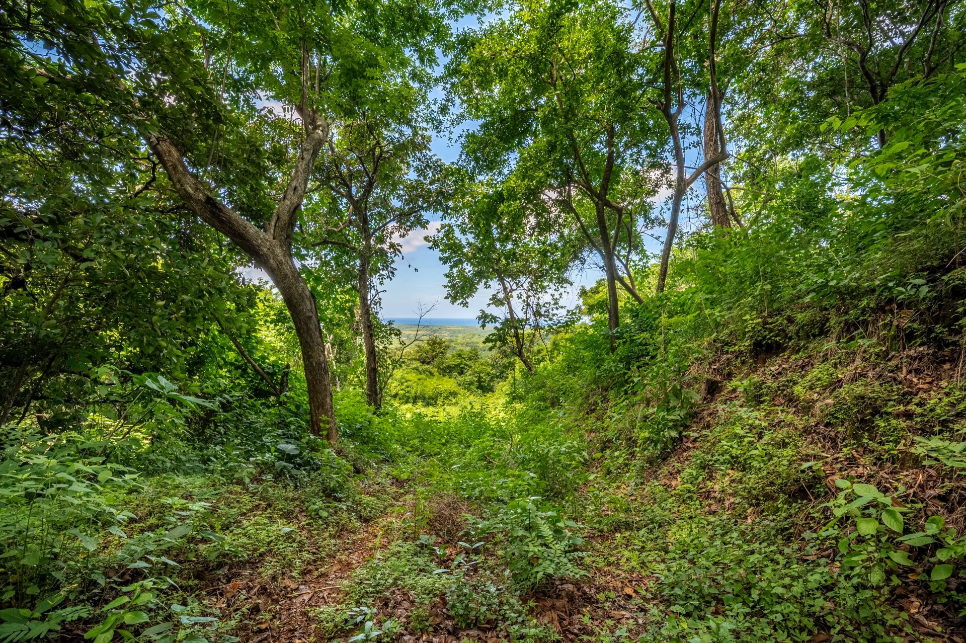 Venta Terreno Santa Cruz