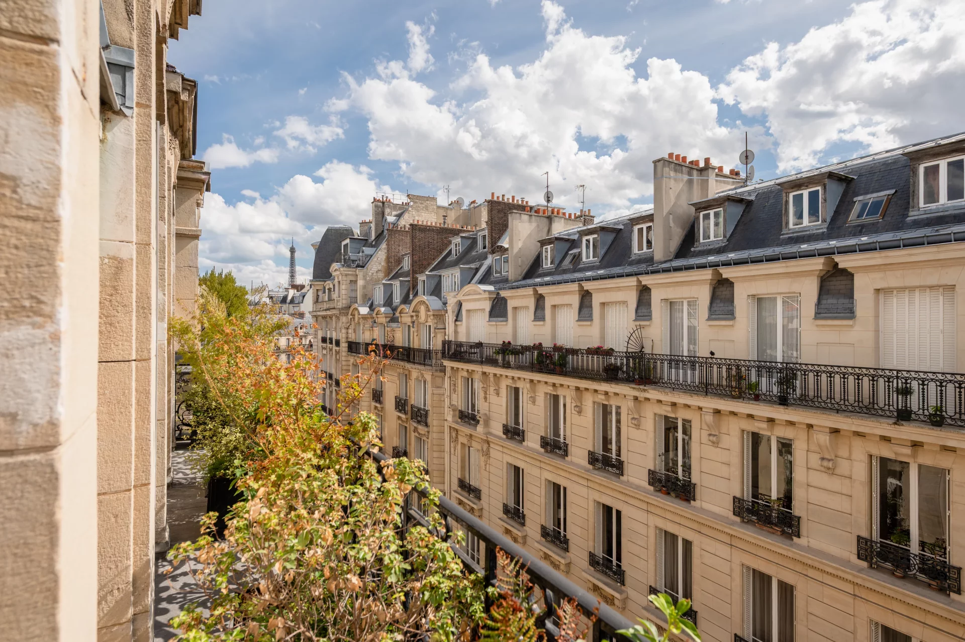 Paris 16e - MUETTE / OCDE