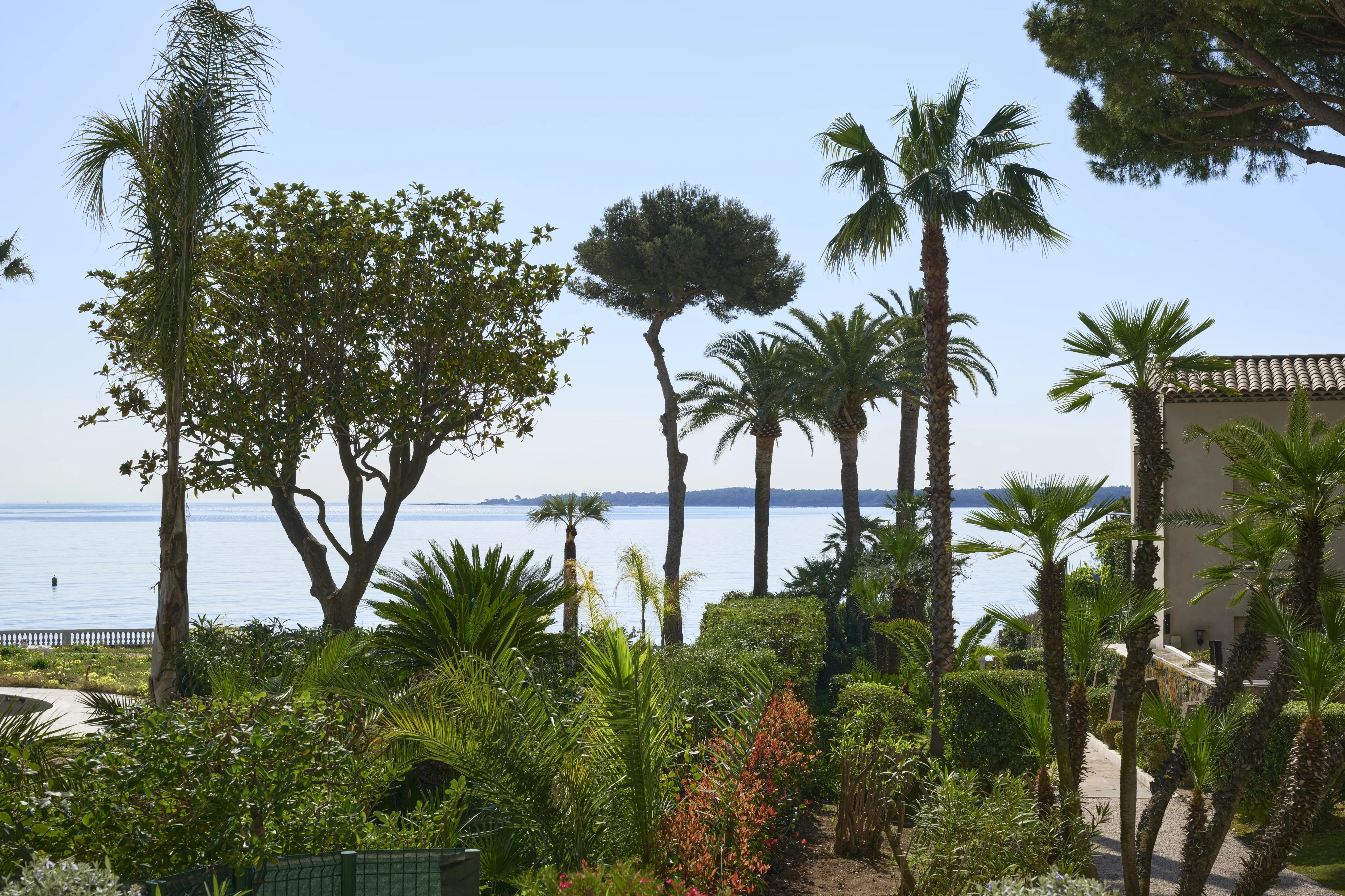 CANNES PALM BEACH - Facing the Lérins Islands, magnificent sea view for this superb 2-bedroom apartment.