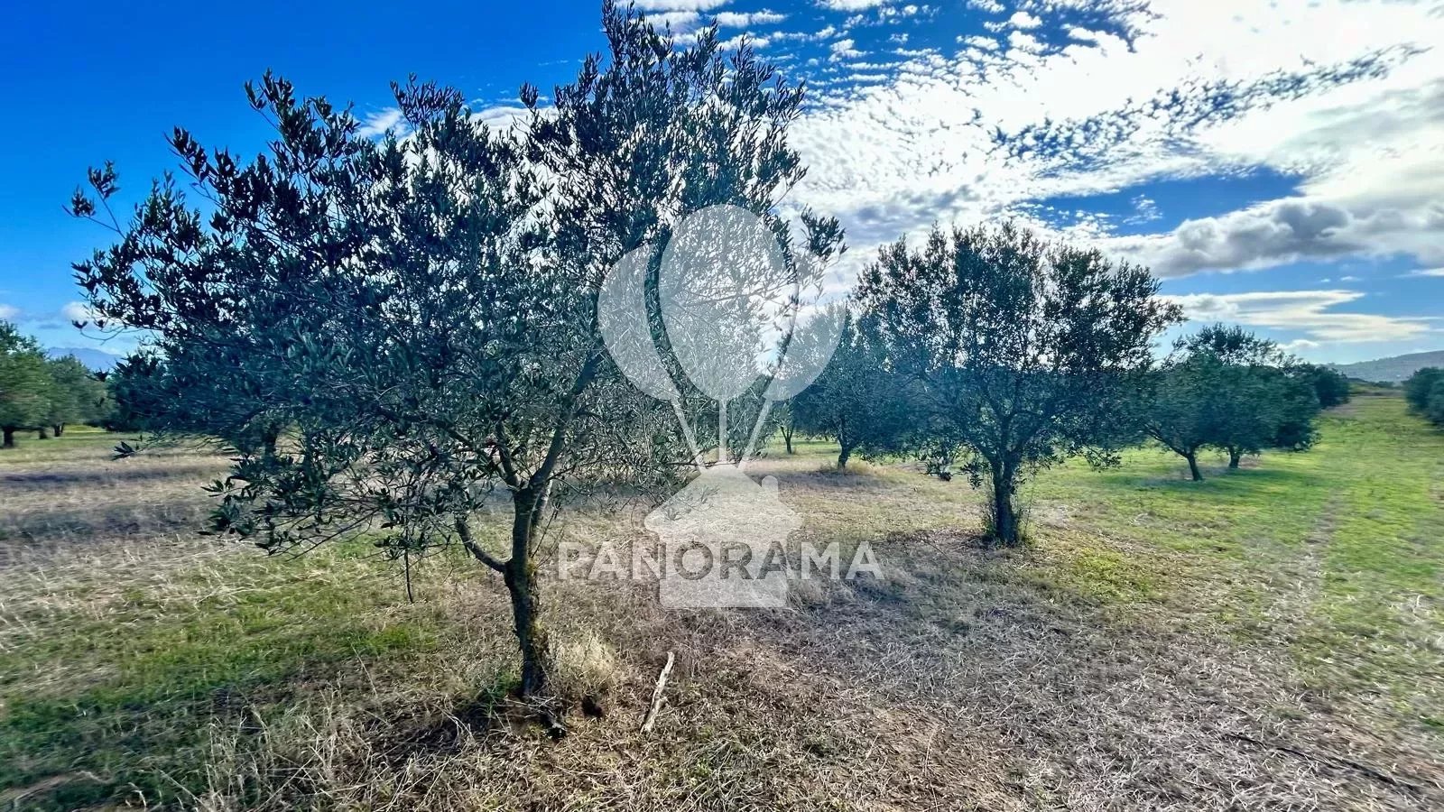 Vendita Terreno agricolo Balestrate