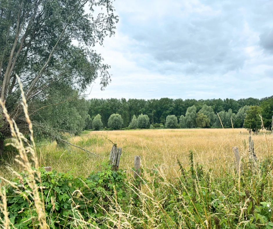 Agence immobilière de Nord Immo