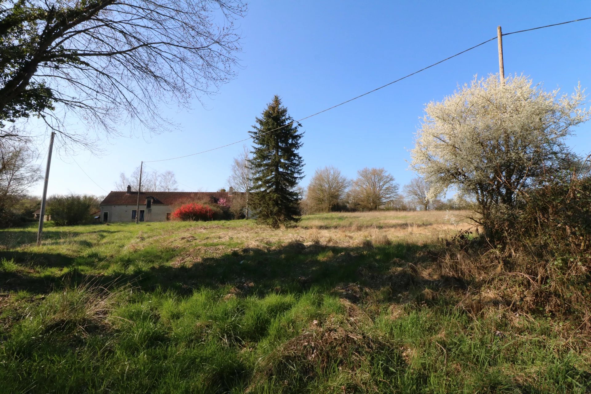 Agence immobilière de Conort Immobilier