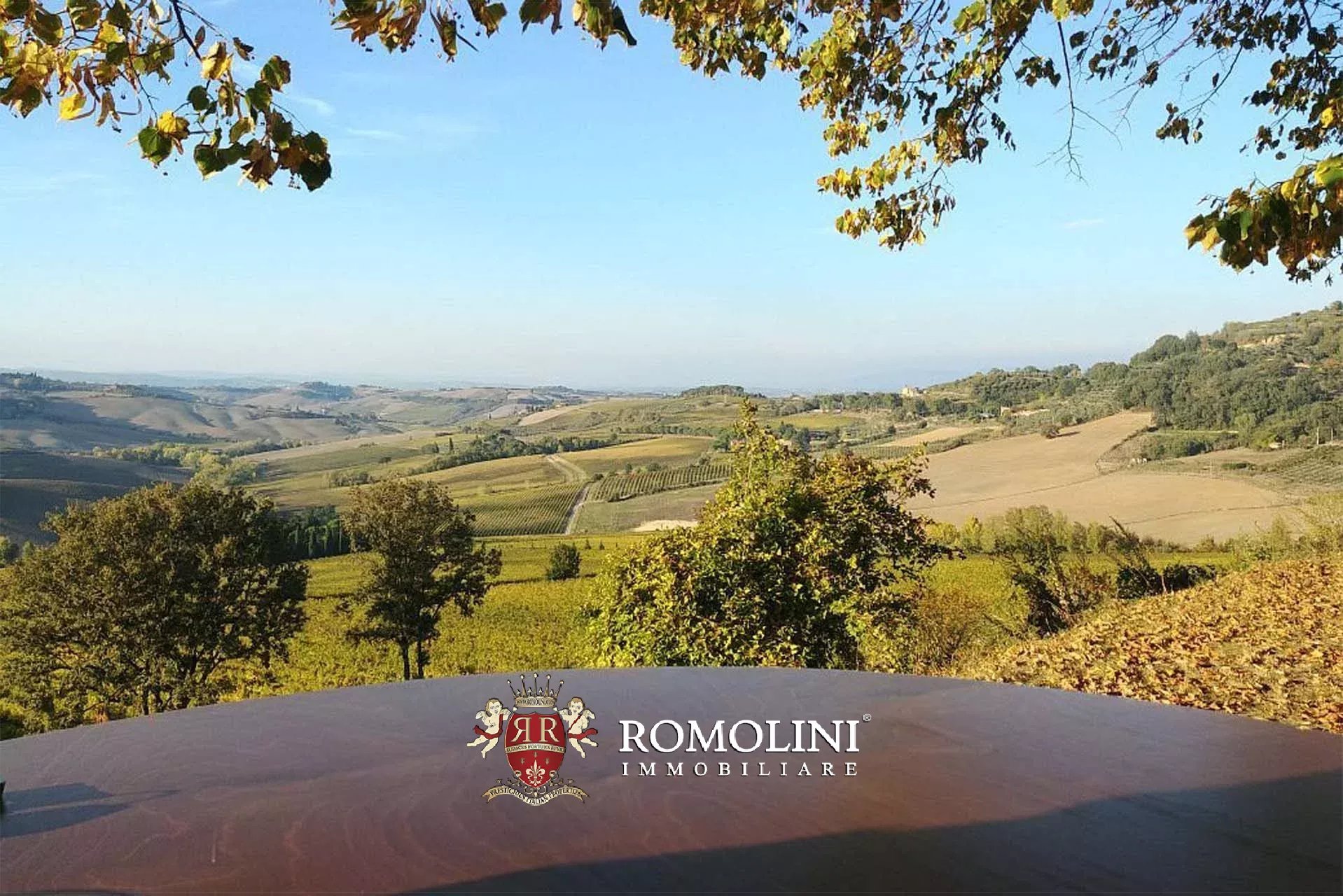 7 Bedroom Vineyard's Image 15