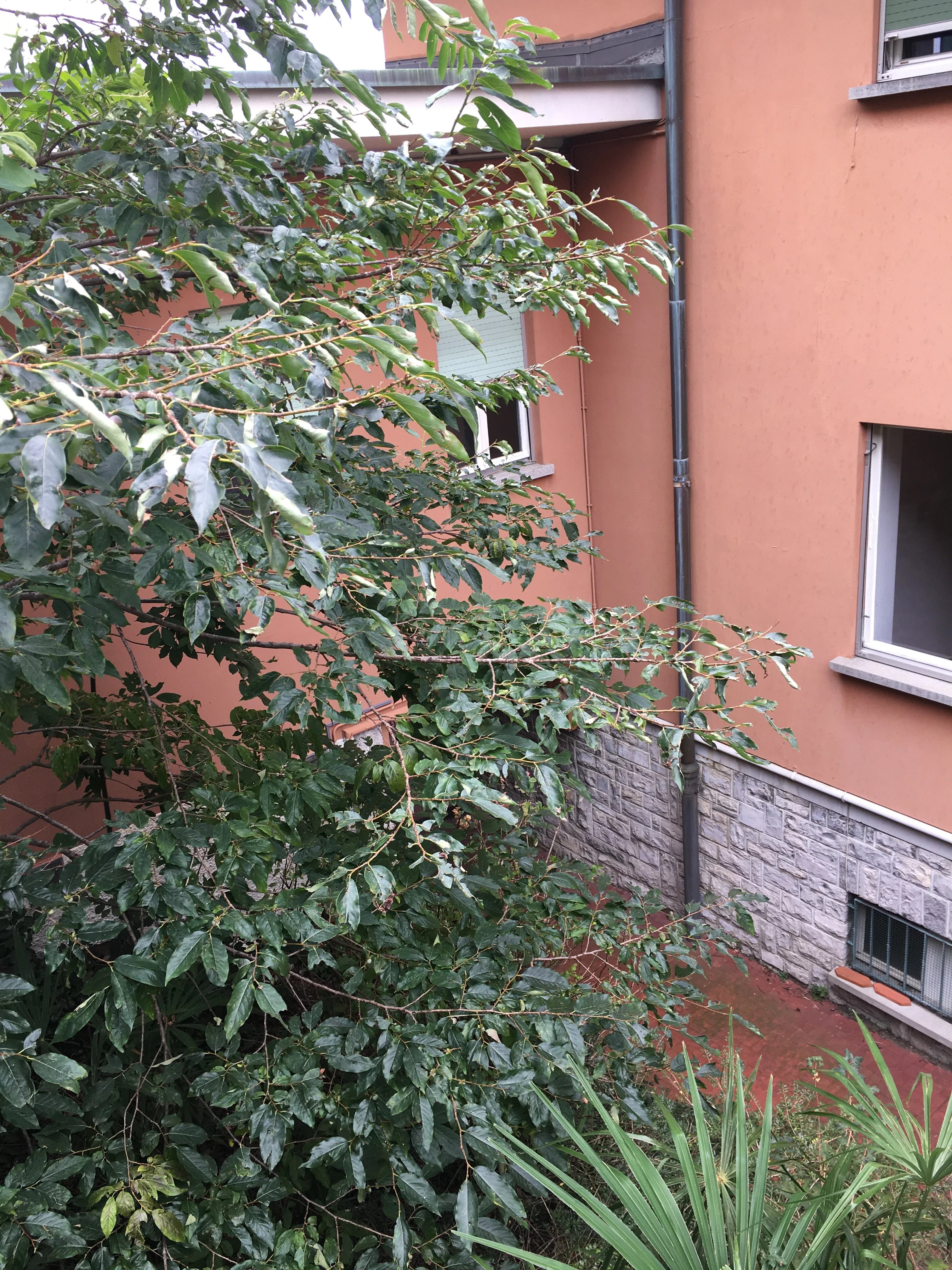 Maison en centre ville. - picture 20 title=