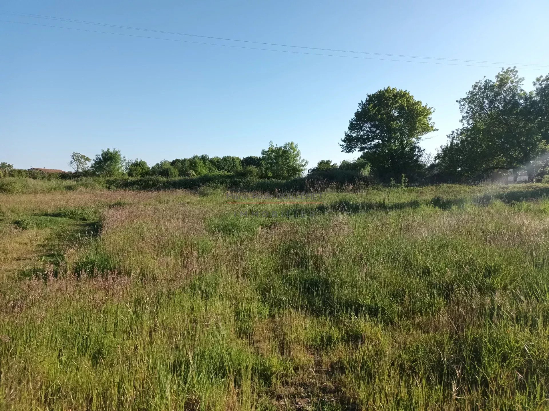 Vente Terrain constructible Saint-Savinien