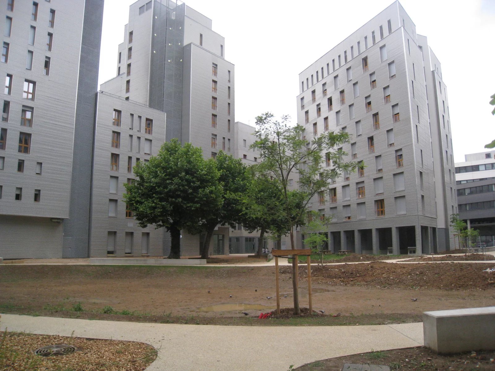 8173972 Location Lyon 7ème