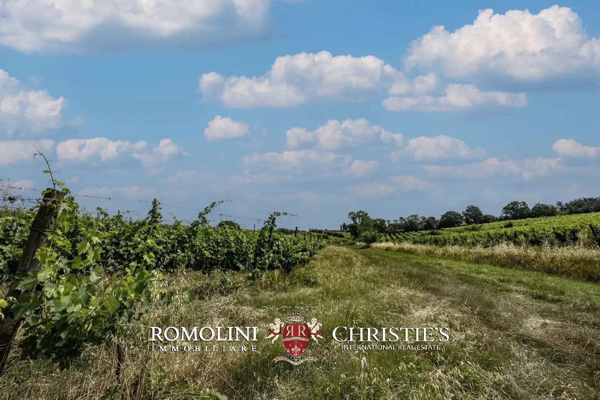 16 Bedroom Vineyard's Image 13