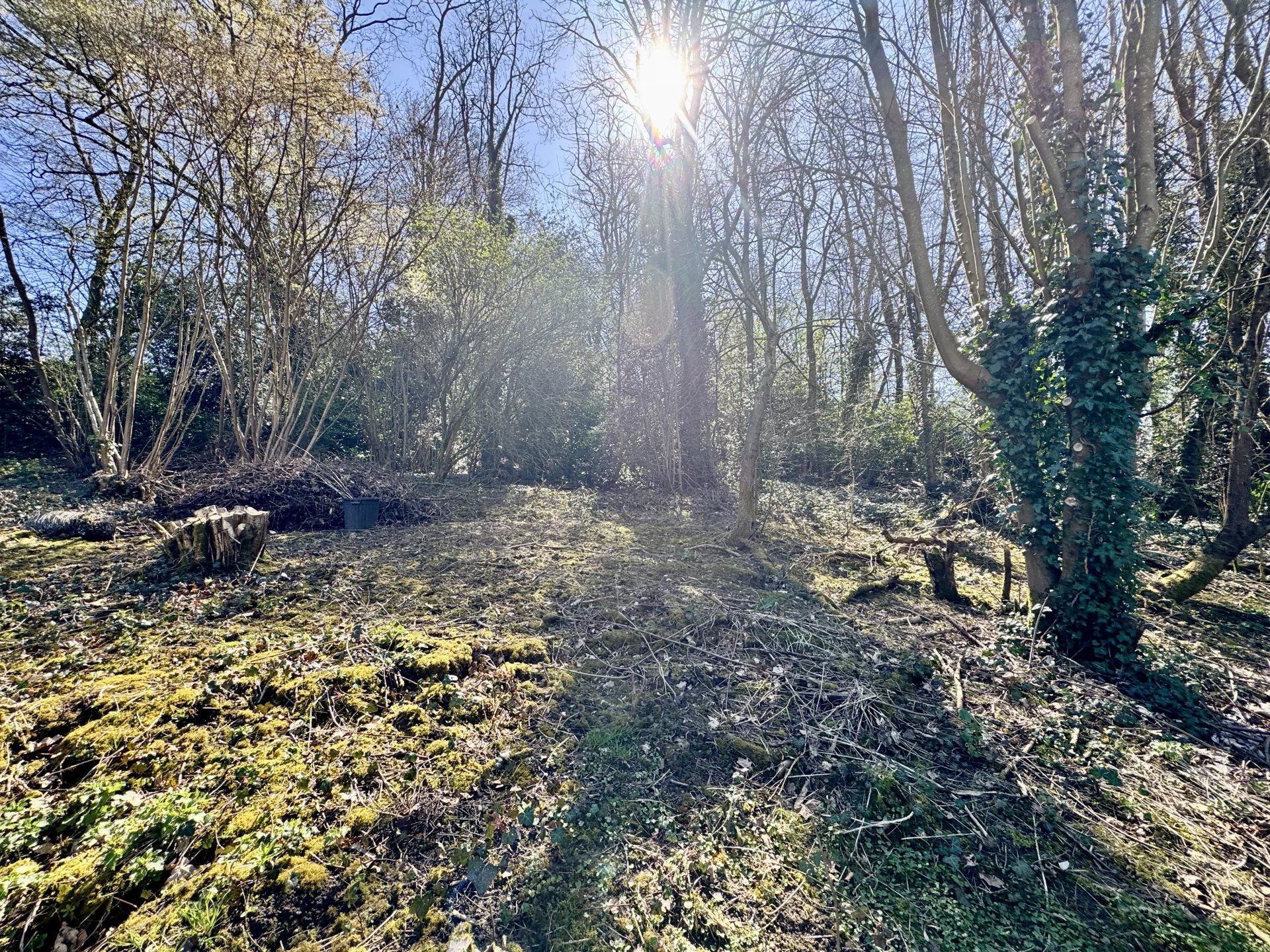 Vente Terrain Mont-Saint-Aignan