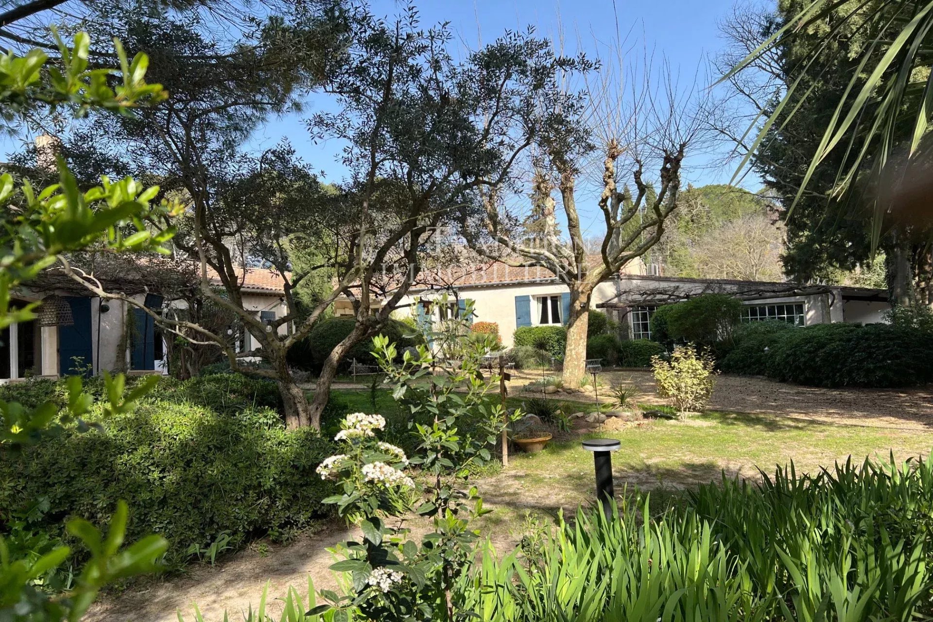 Agence immobilière de ZUNINO