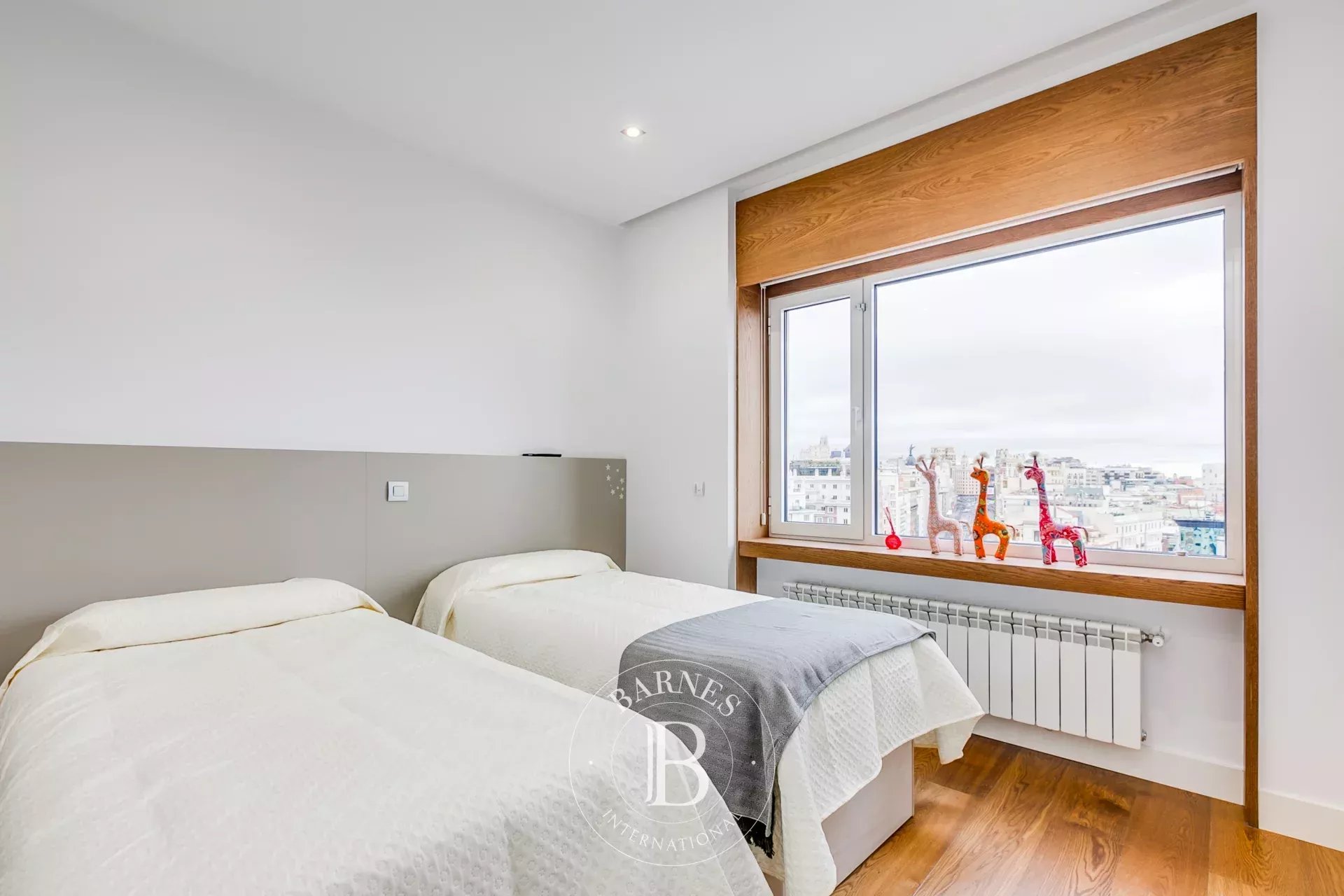 Daire Madrid - picture 14