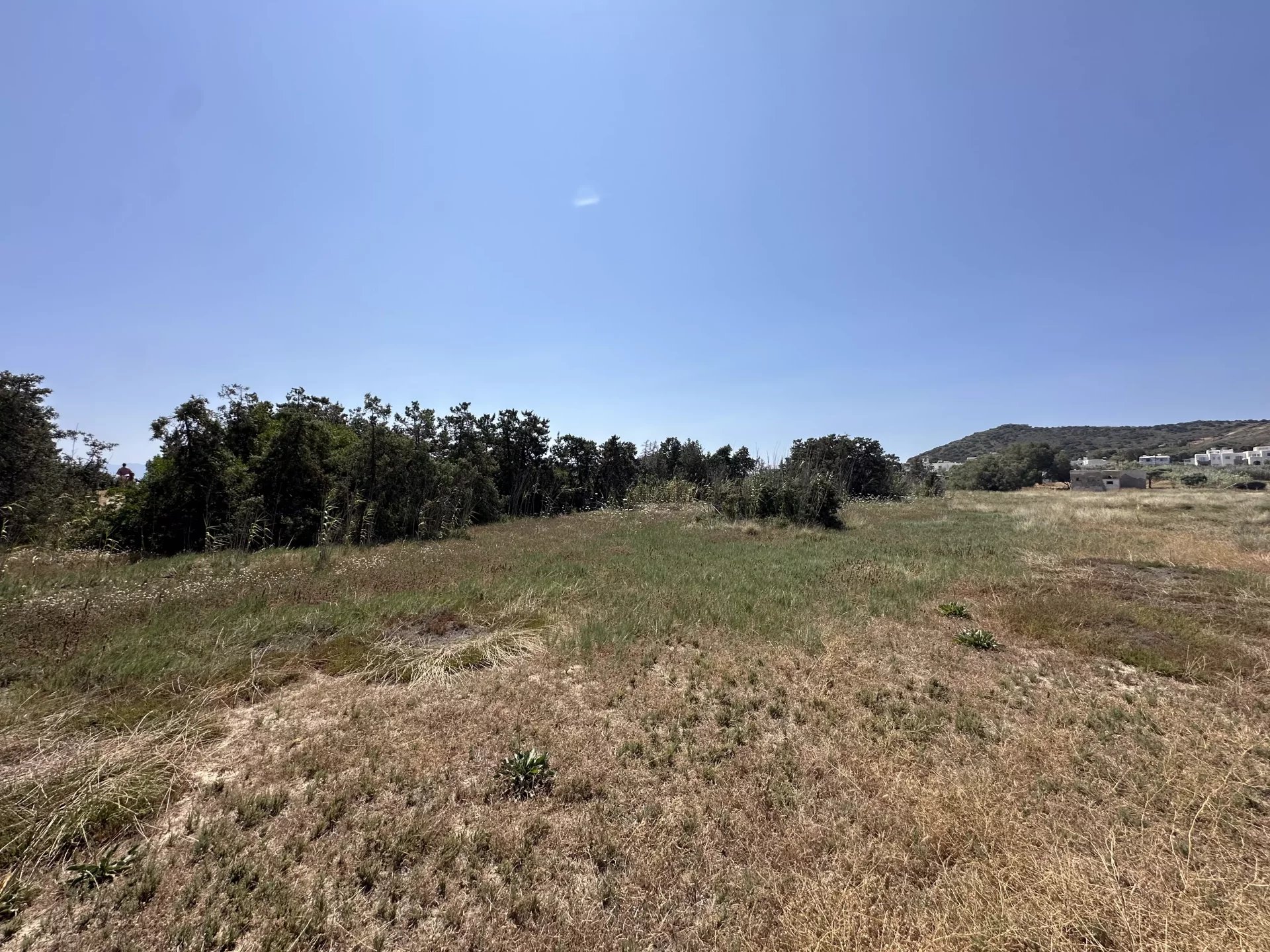 Εικόνα ιδιοκτησίας 16