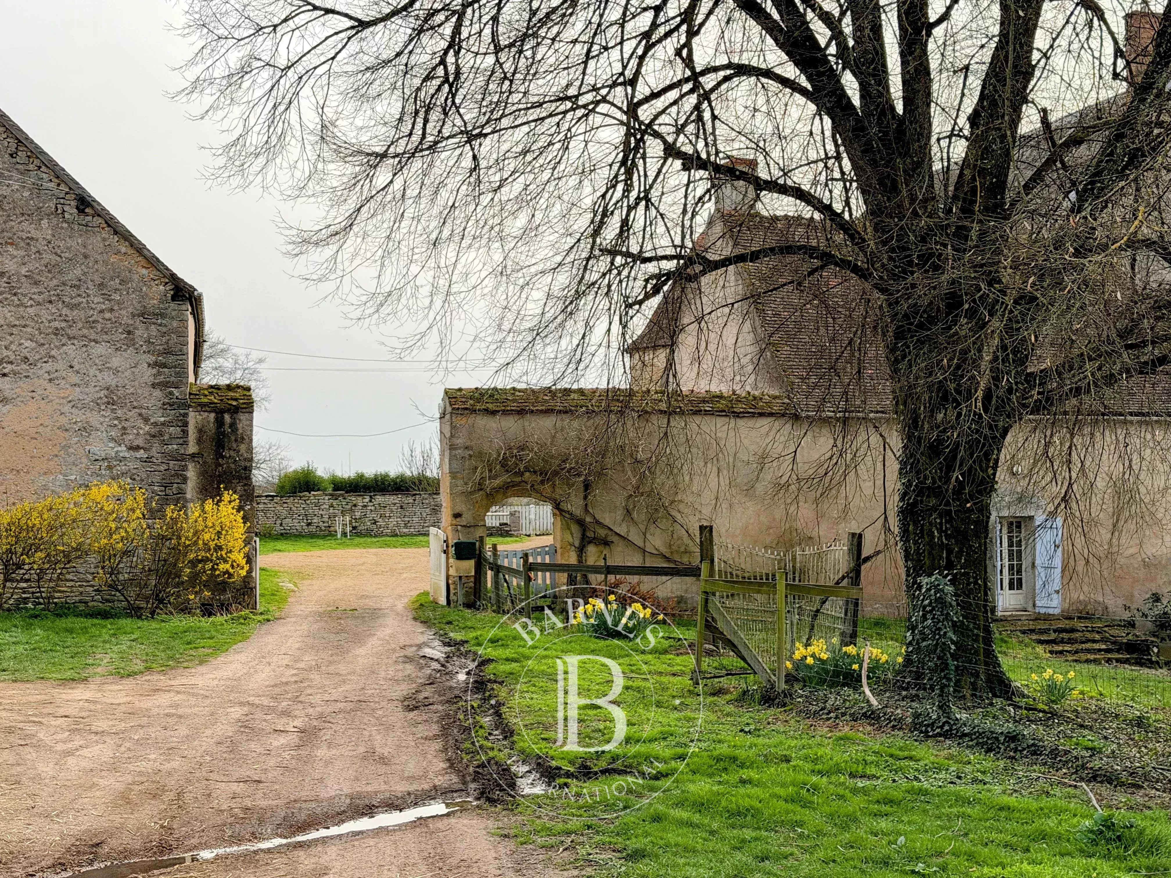 Château Saxi-Bourdon  -  ref 87113721 (picture 2)