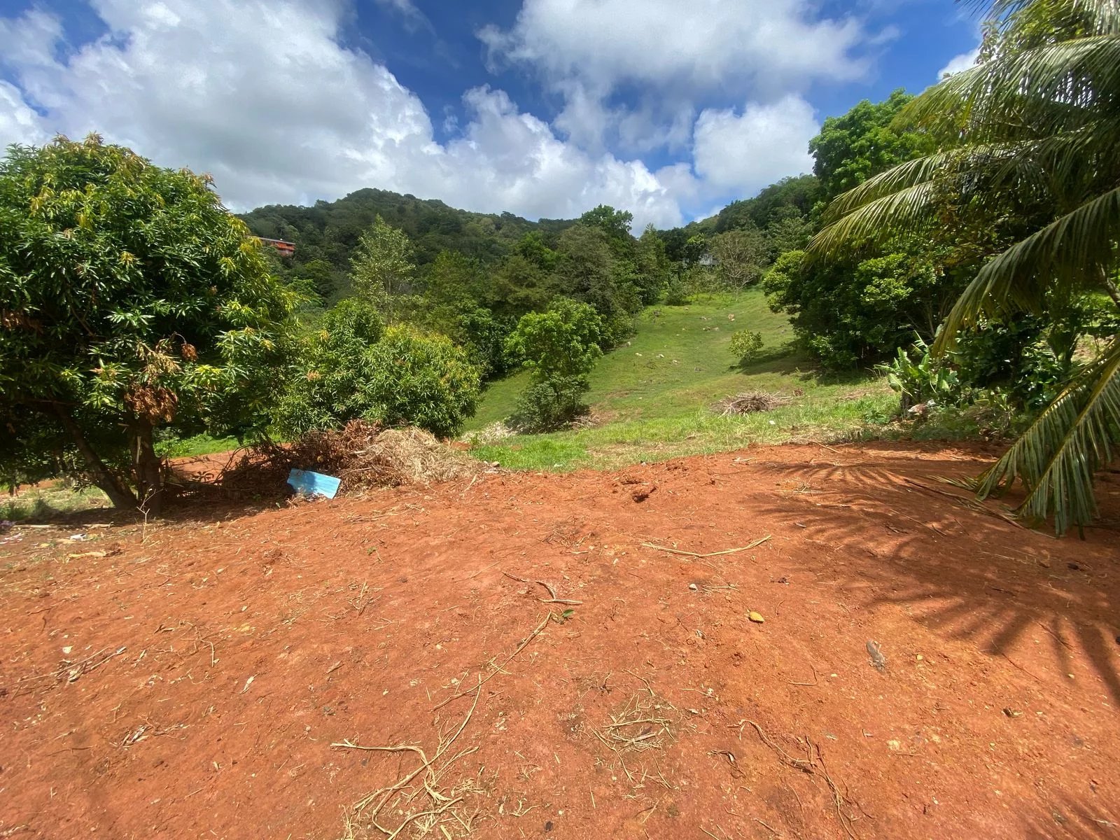 TERRAIN - 815 M² - LE VAUCLIN