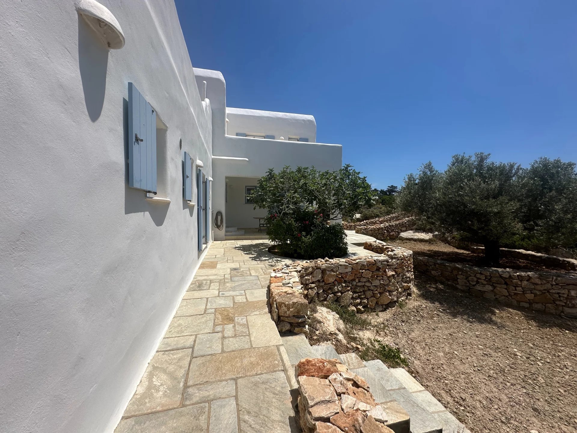 Εικόνα ιδιοκτησίας 80