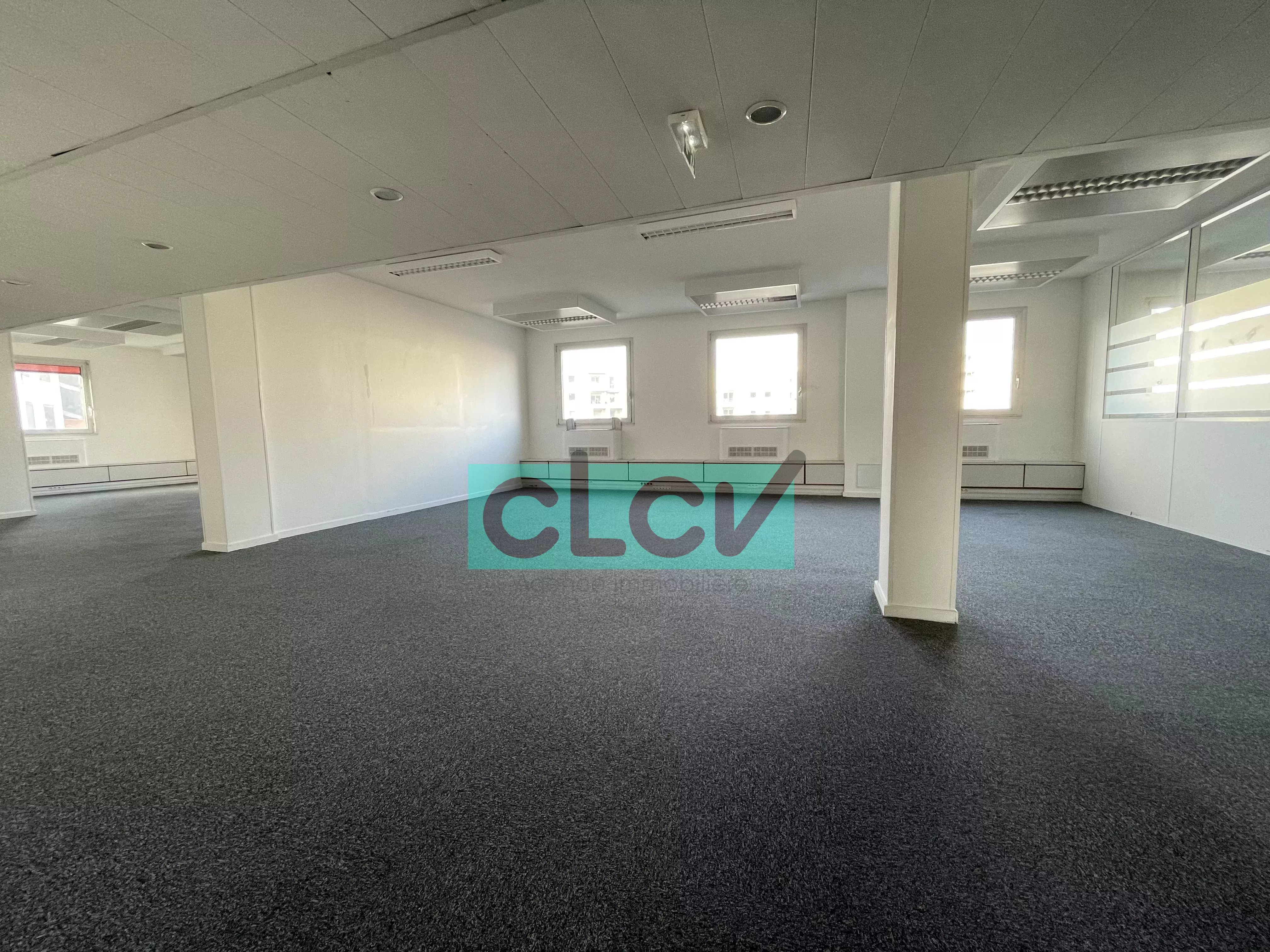 Bureaux 187 m² 69100 Charpennes VILLEURBANNE