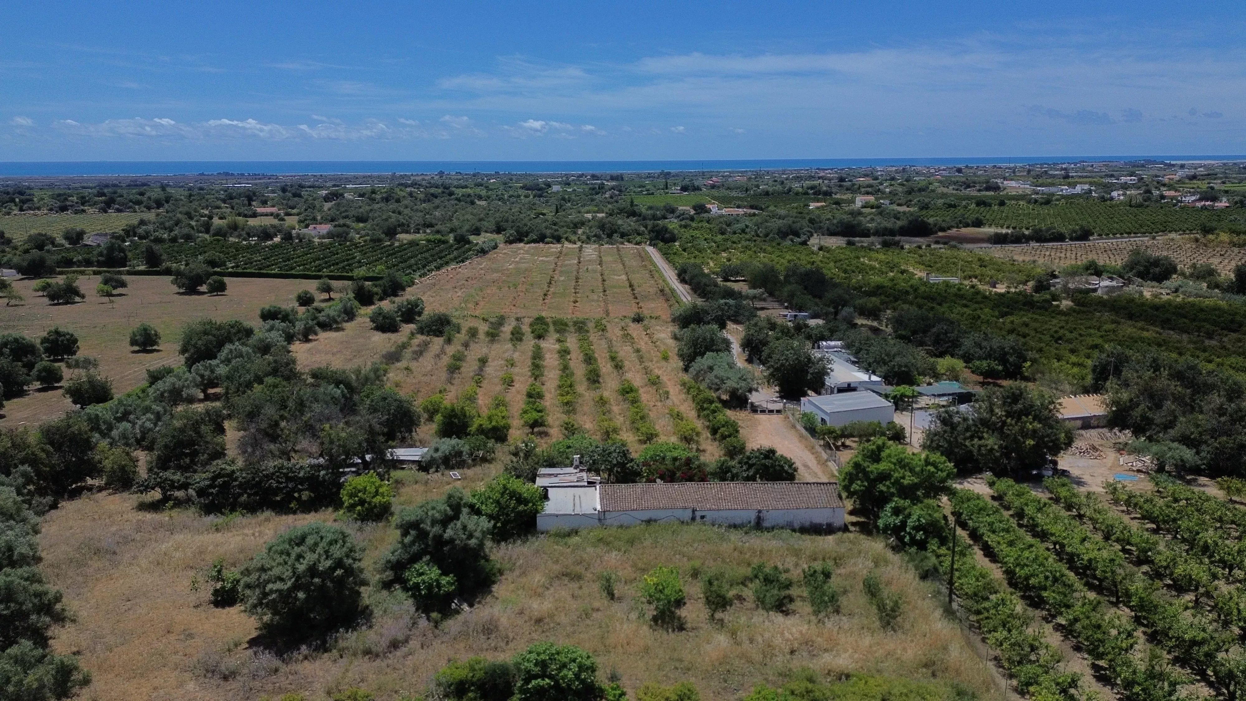 6 room Farmhouse with 1.5 hectares of land and sea view 86949039 image 1