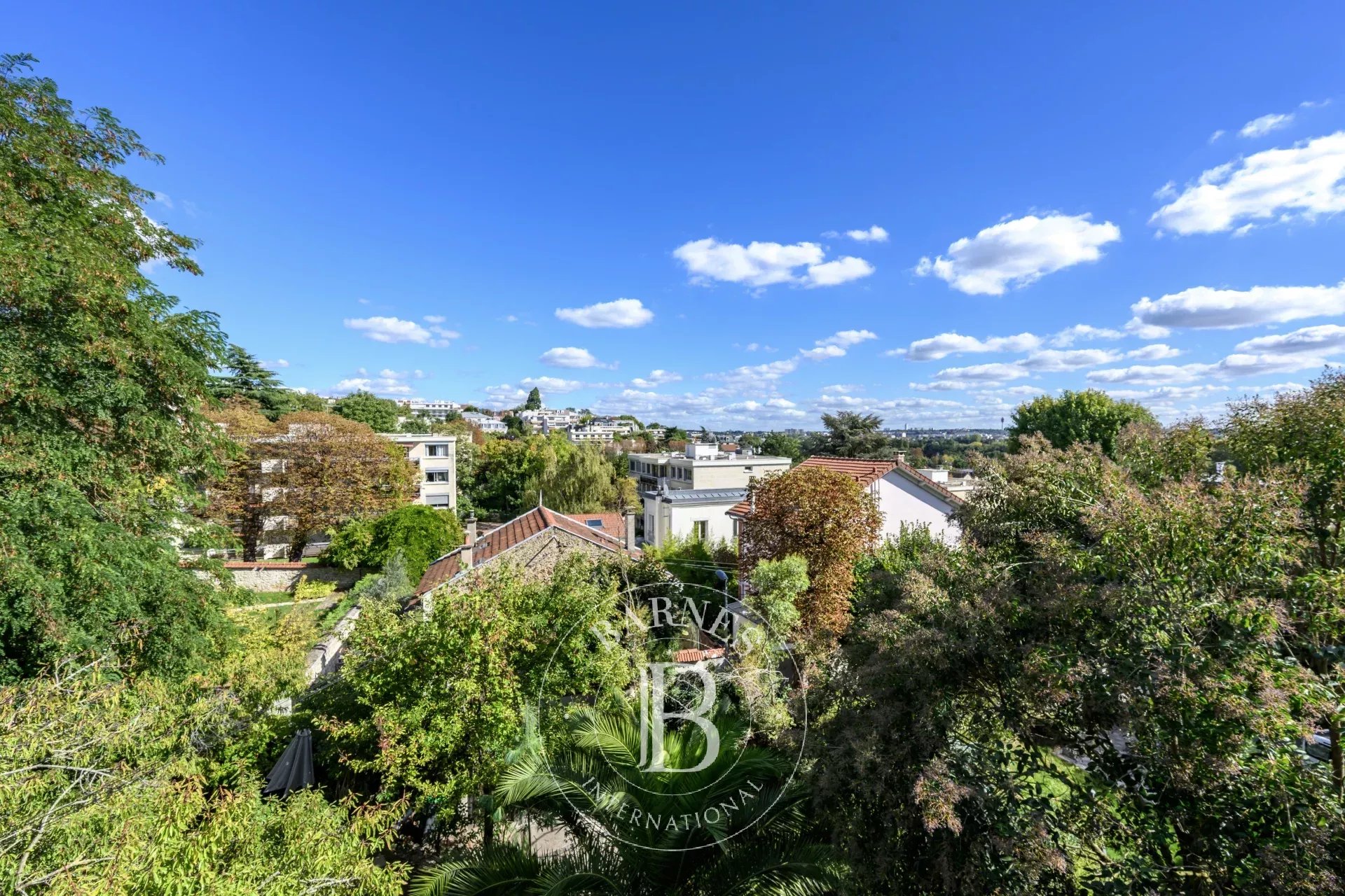 Ev Nogent-sur-Marne - picture 10