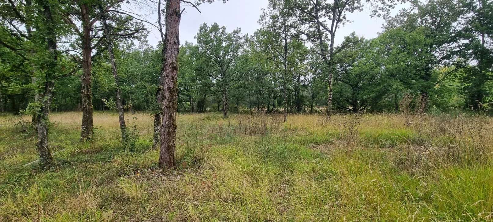 Terrain — Saint-Paul-Flaugnac